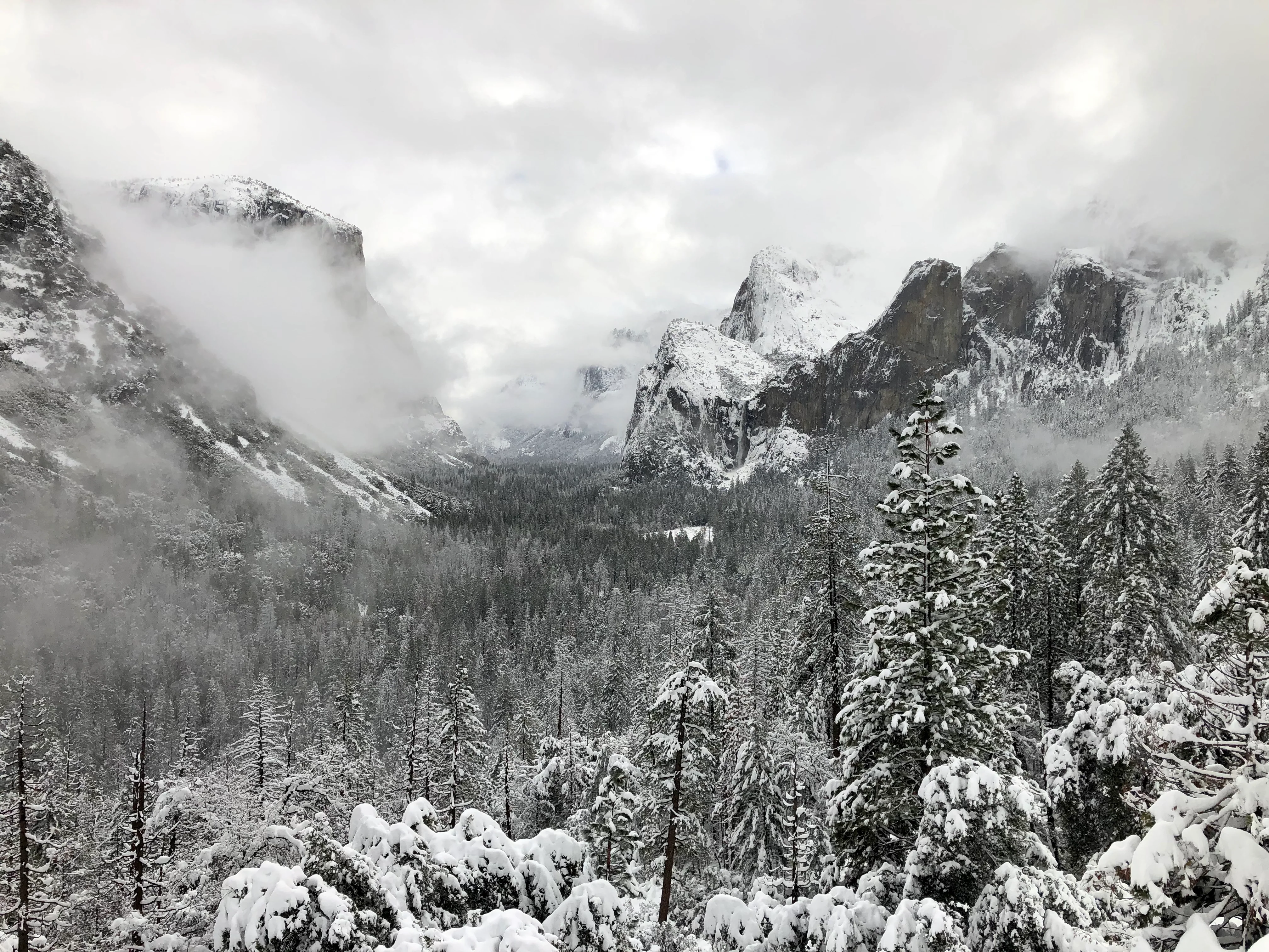 Snowshoeing Yosemite: Valley Overlook - Image 26