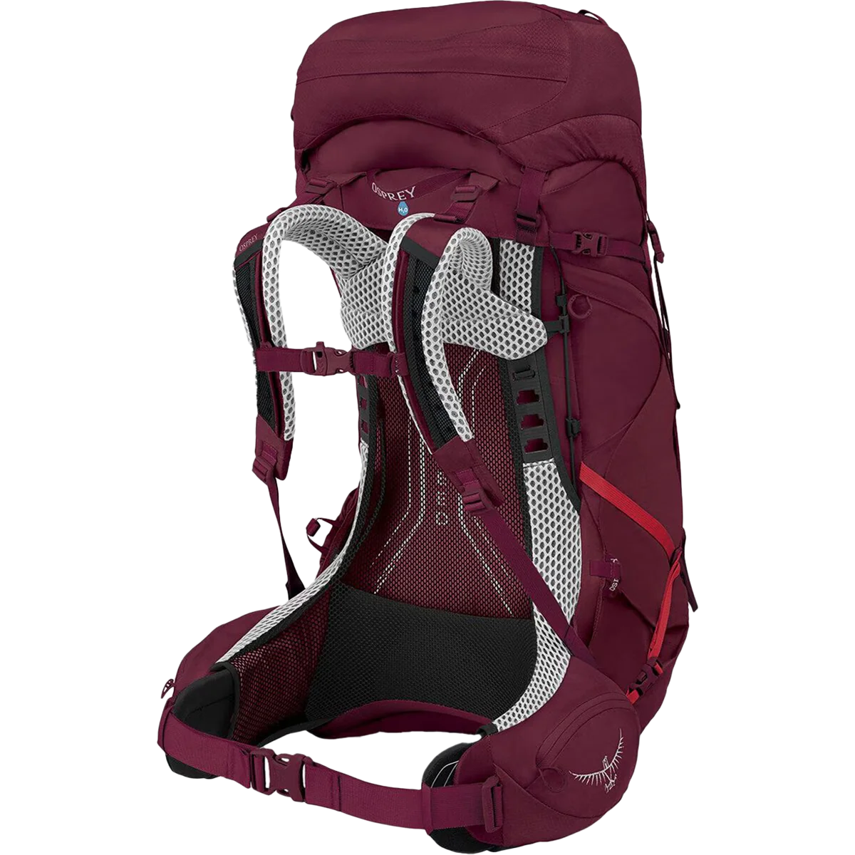 Women's Aura AG LT 50 - Image 3