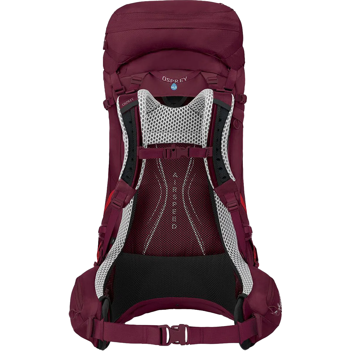 Women's Aura AG LT 50 - Image 4