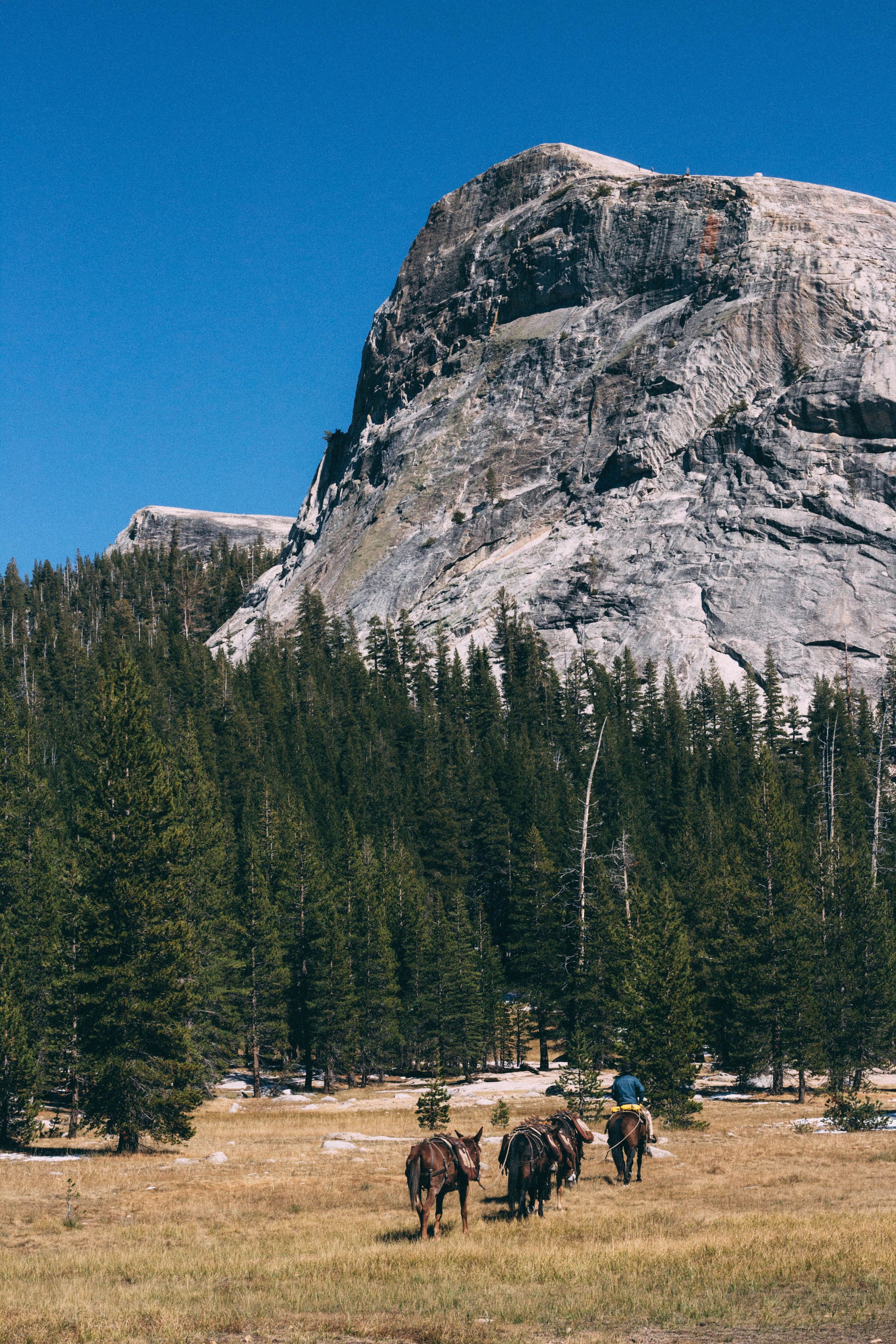Backpacking Yosemite: Glen Aulin Pass Thru - Image 20