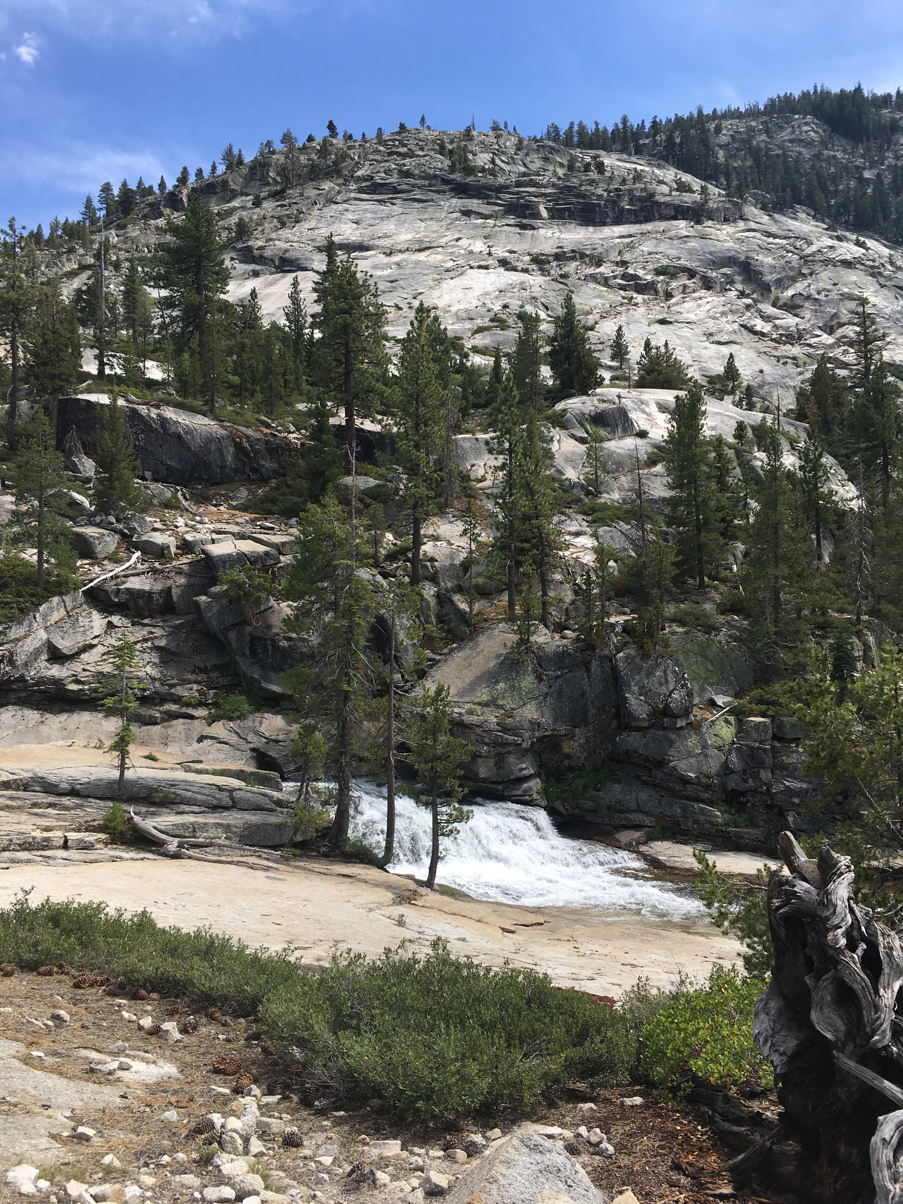 Backpacking Yosemite: Vogelsang - Image 11