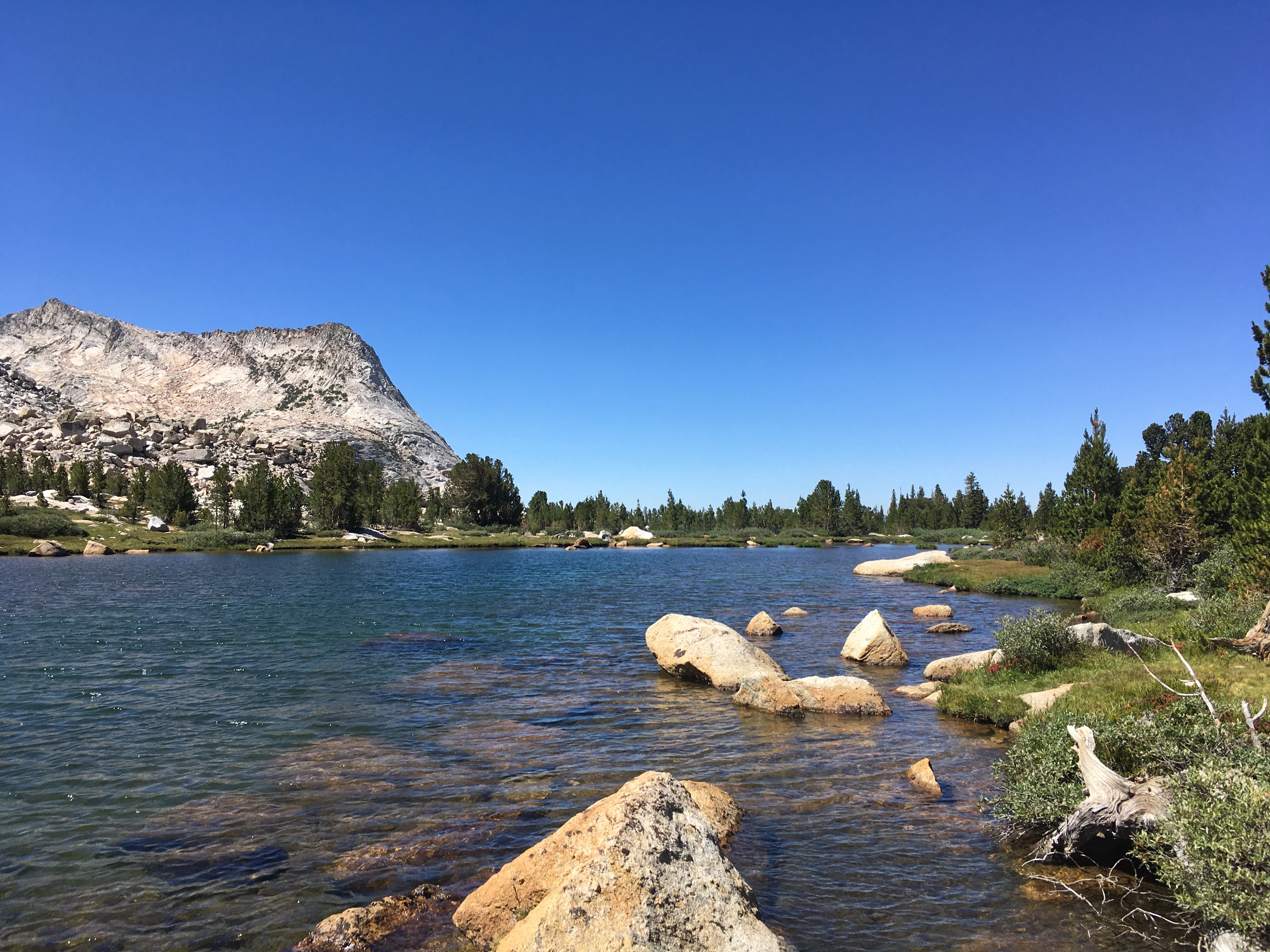 Backpacking Yosemite: Vogelsang - Image 12