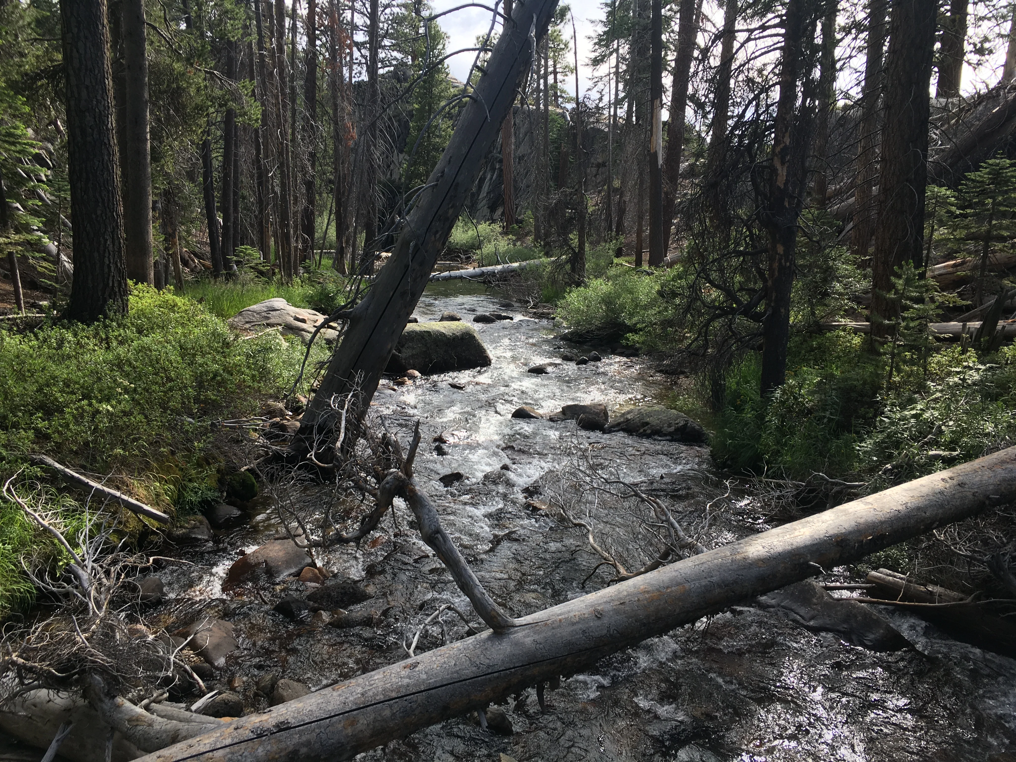 Backpacking Yosemite: Vogelsang - Image 5