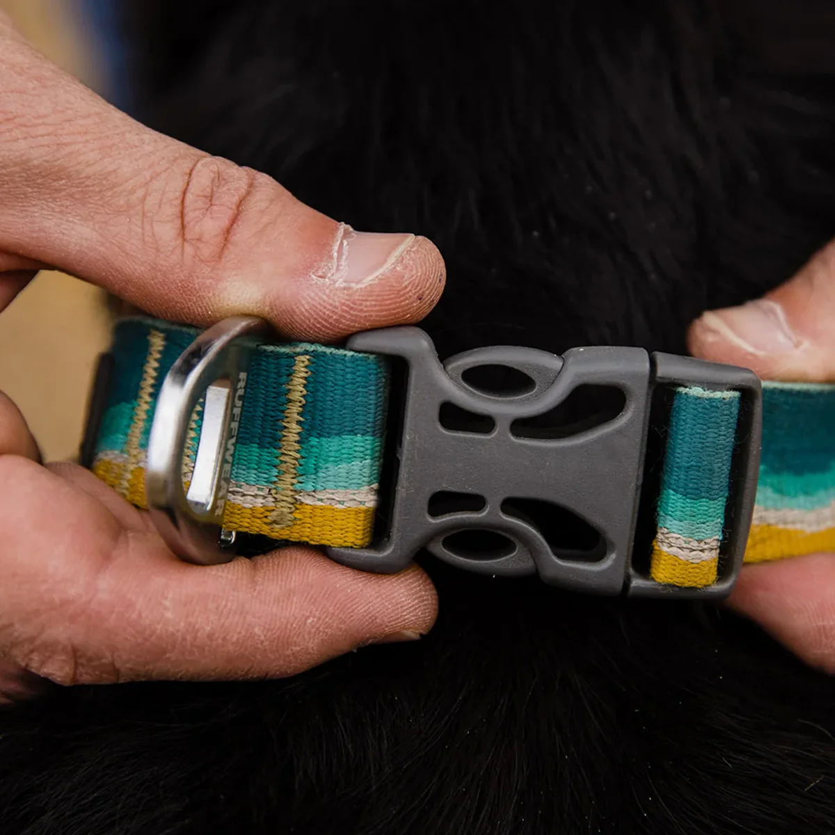 Crag Reflective Dog Collar - Image 6