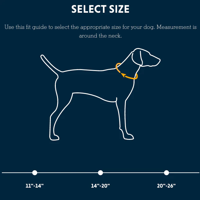 Crag Collar - Image 4