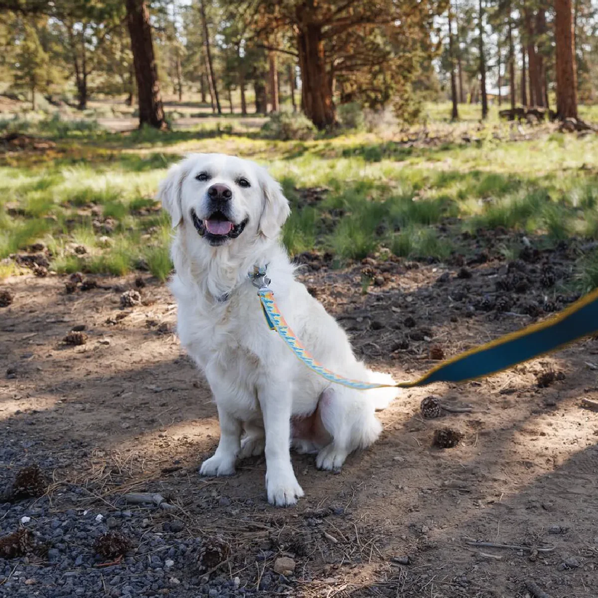 Crag Reflective Dog Leash - Image 5