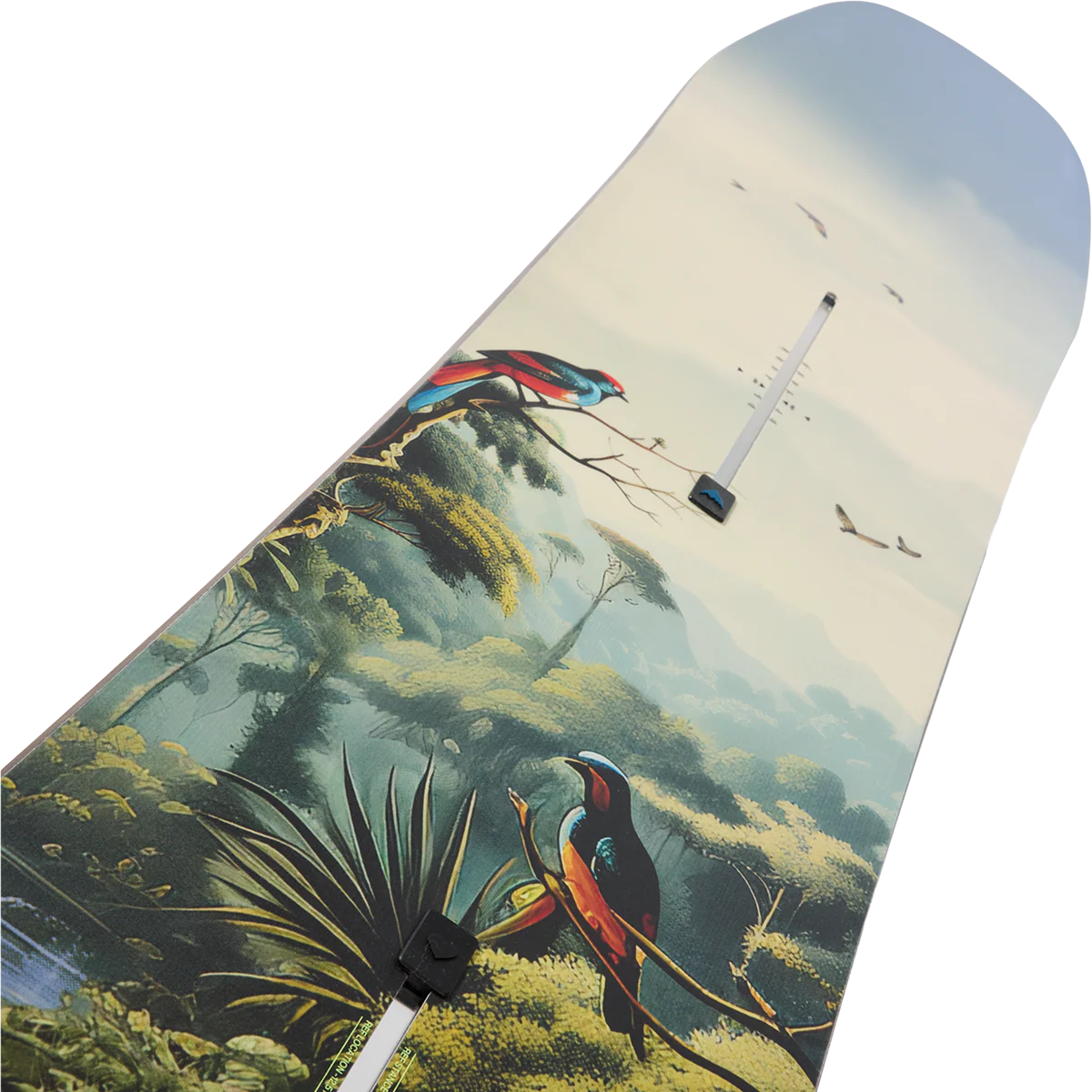 Custom Camber - Image 3