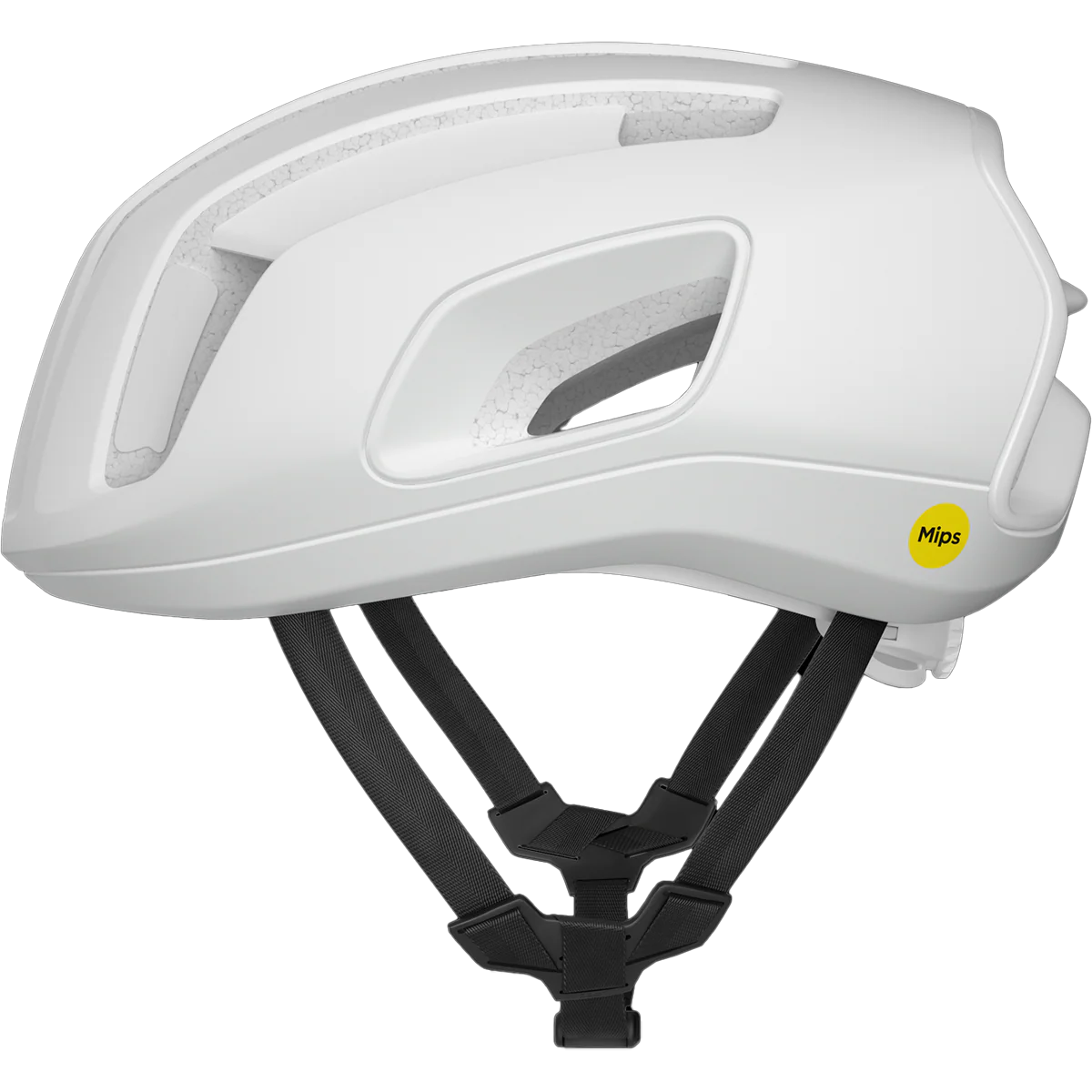 Cytal - Image 2