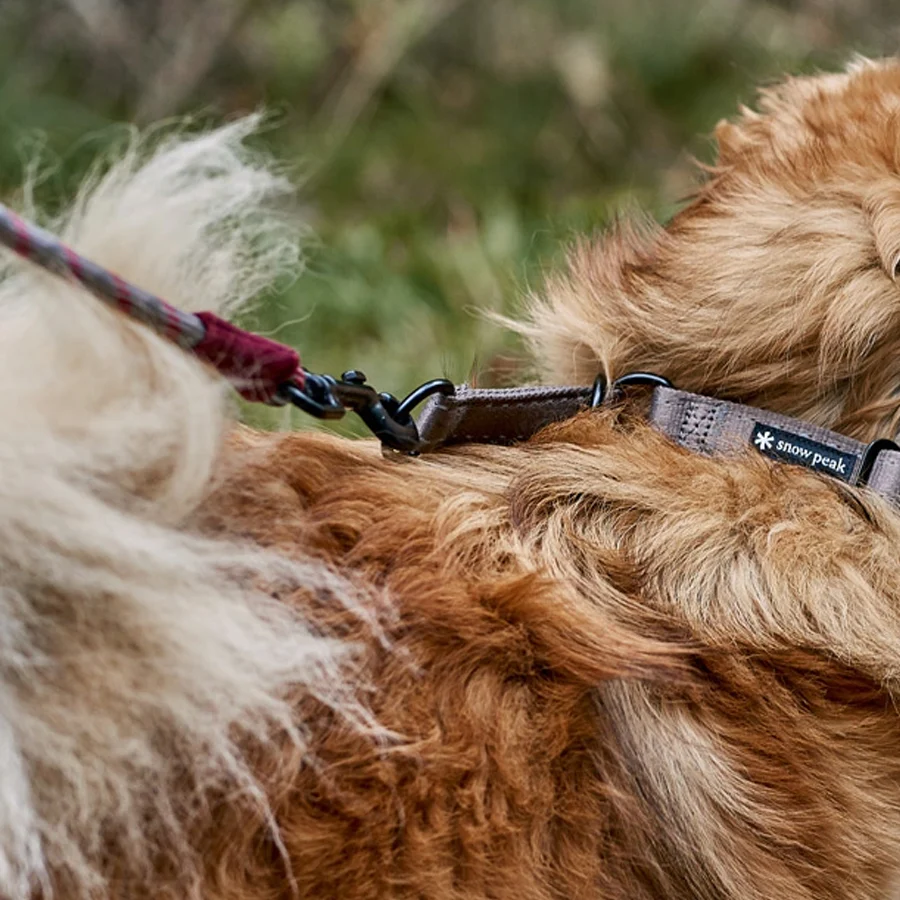 SP Rope Lead L - Image 4
