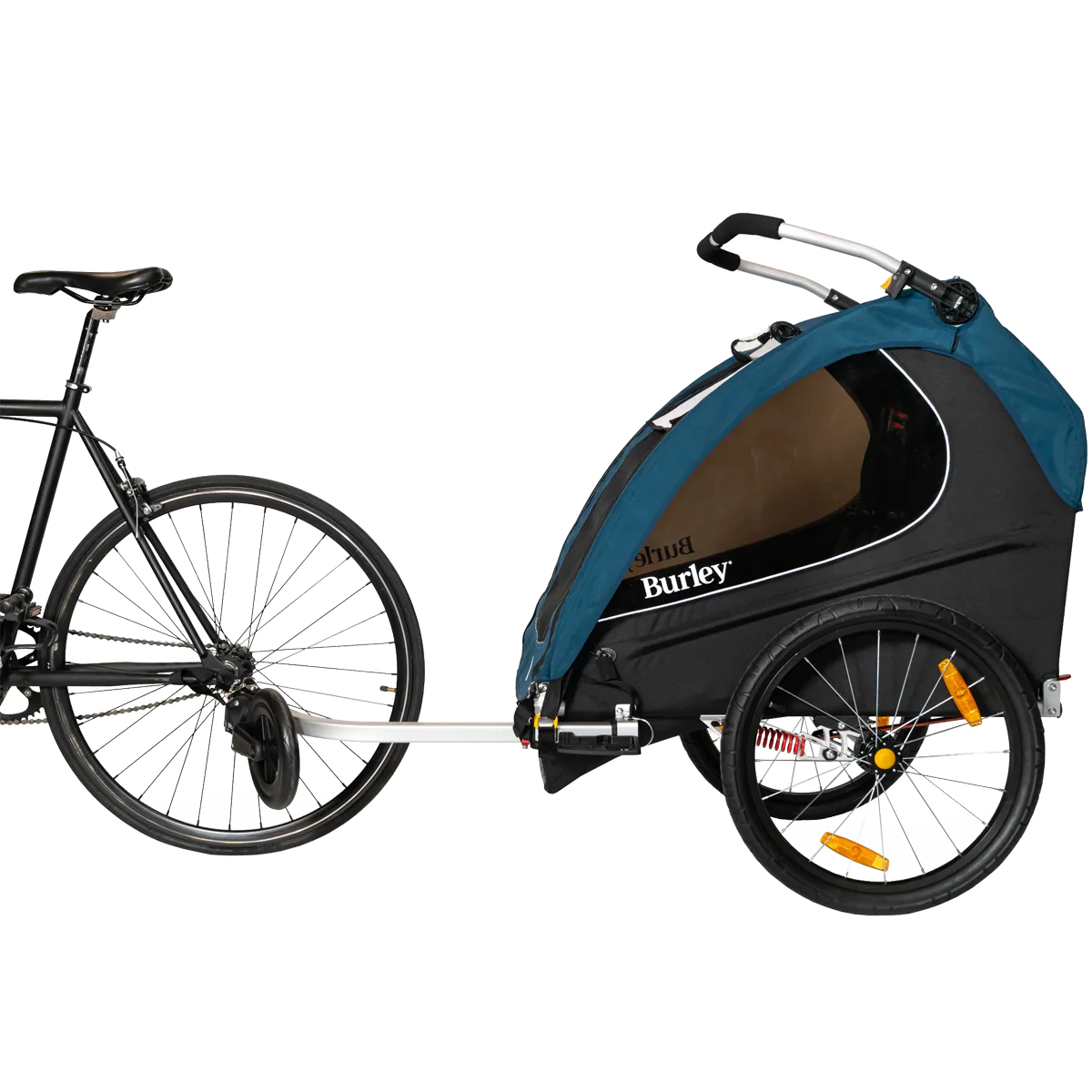 Encore X - Image 2