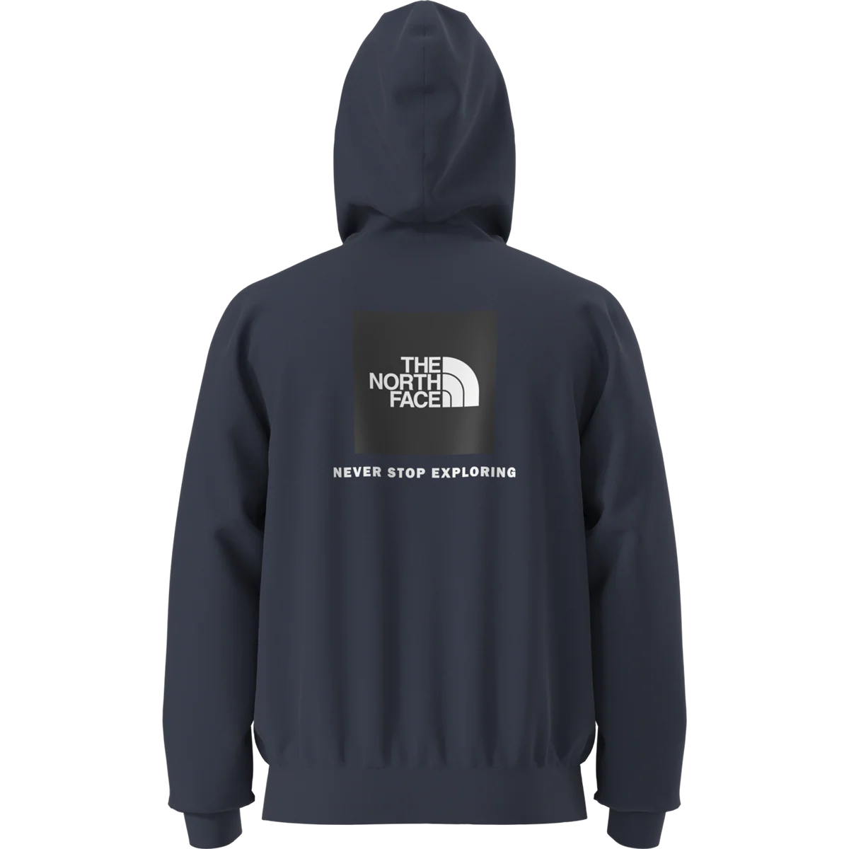 Men's Evolution Box NSE Regular Hoodie - Image 4
