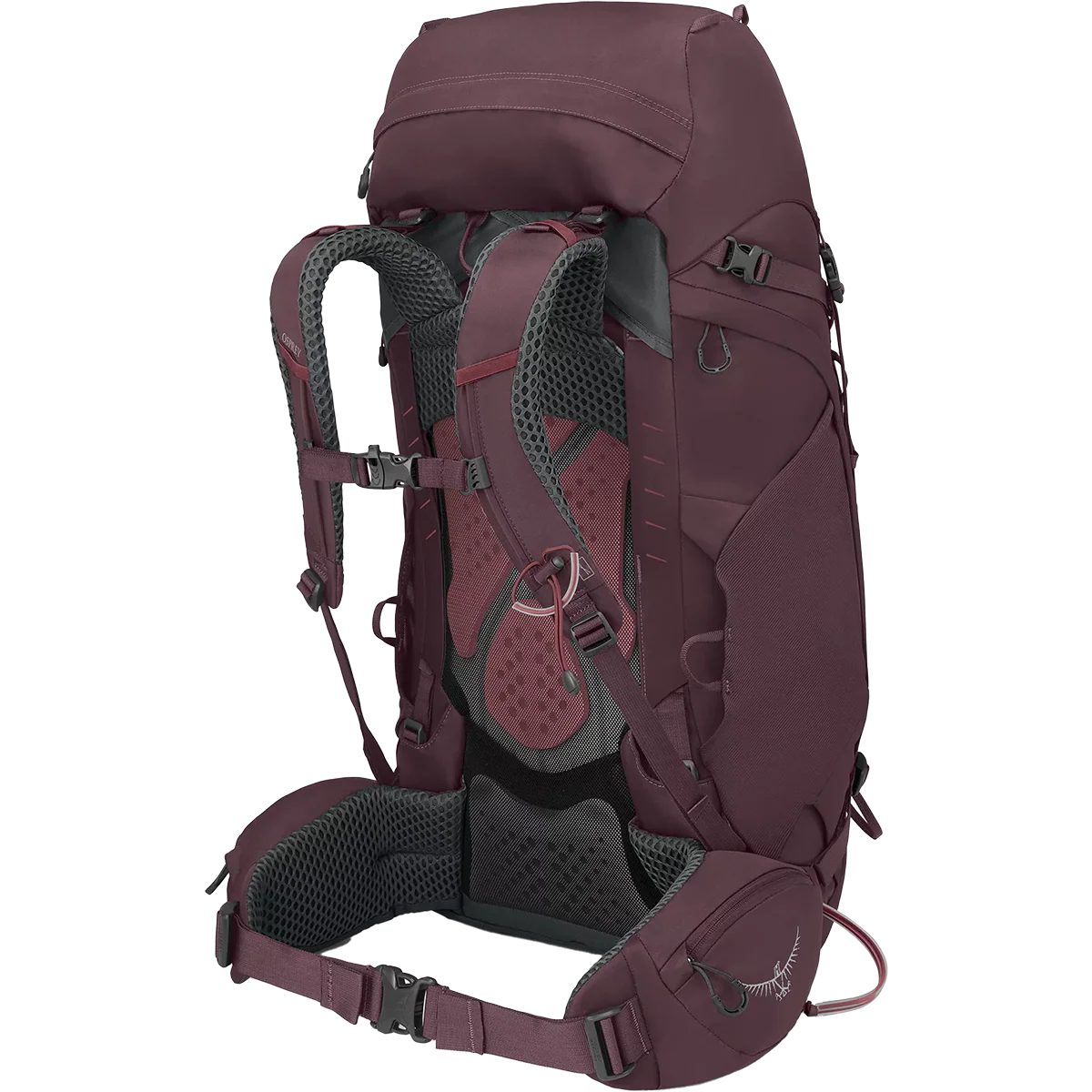 Women's Kyte 48 - Image 4