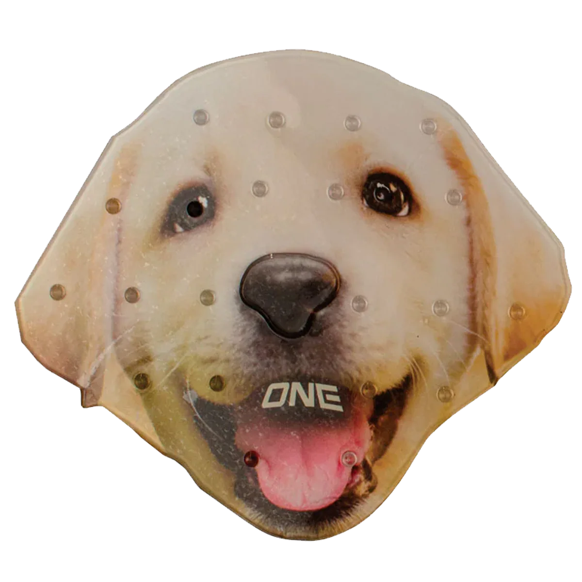 Lab