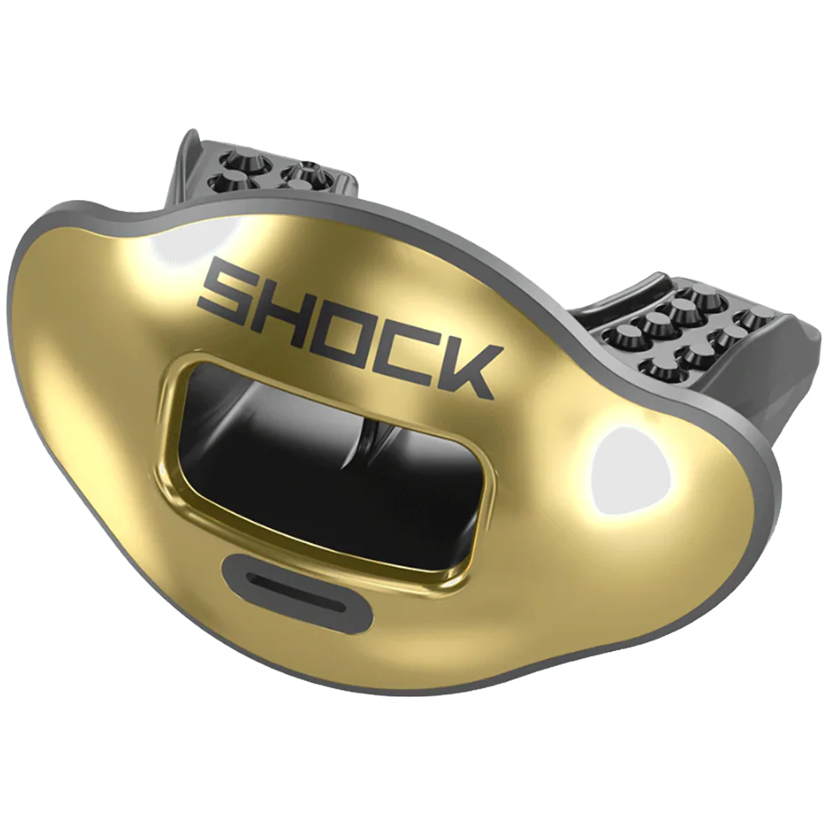 Max AirFlow Lip Guard Chrome