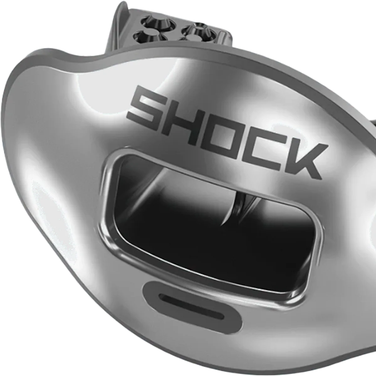 Max AirFlow Lip Guard Chrome - Image 5