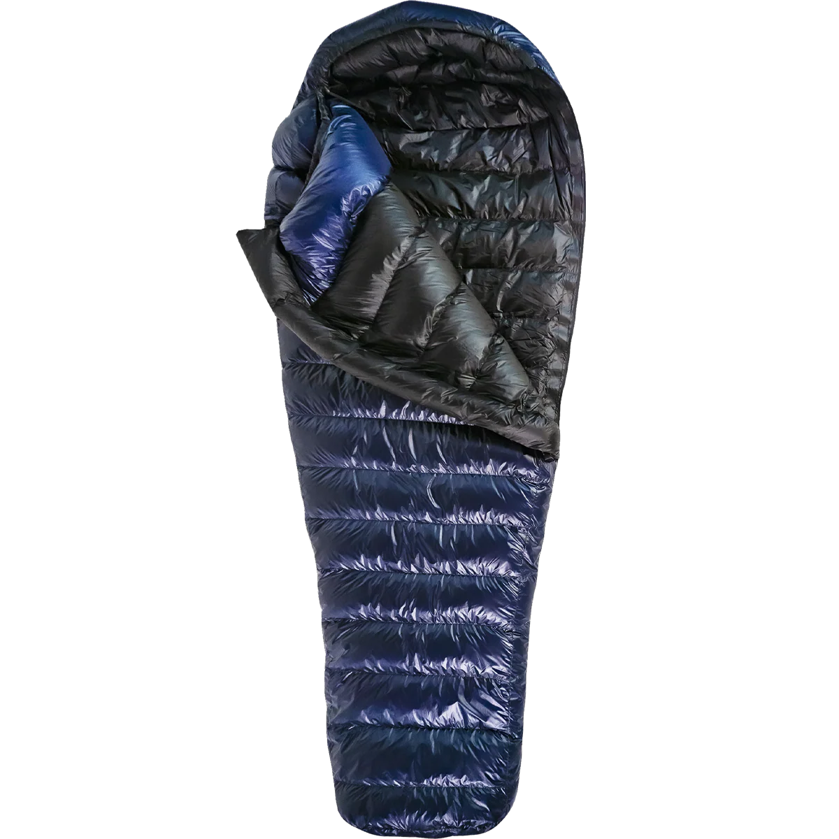 MegaLite 6'0"