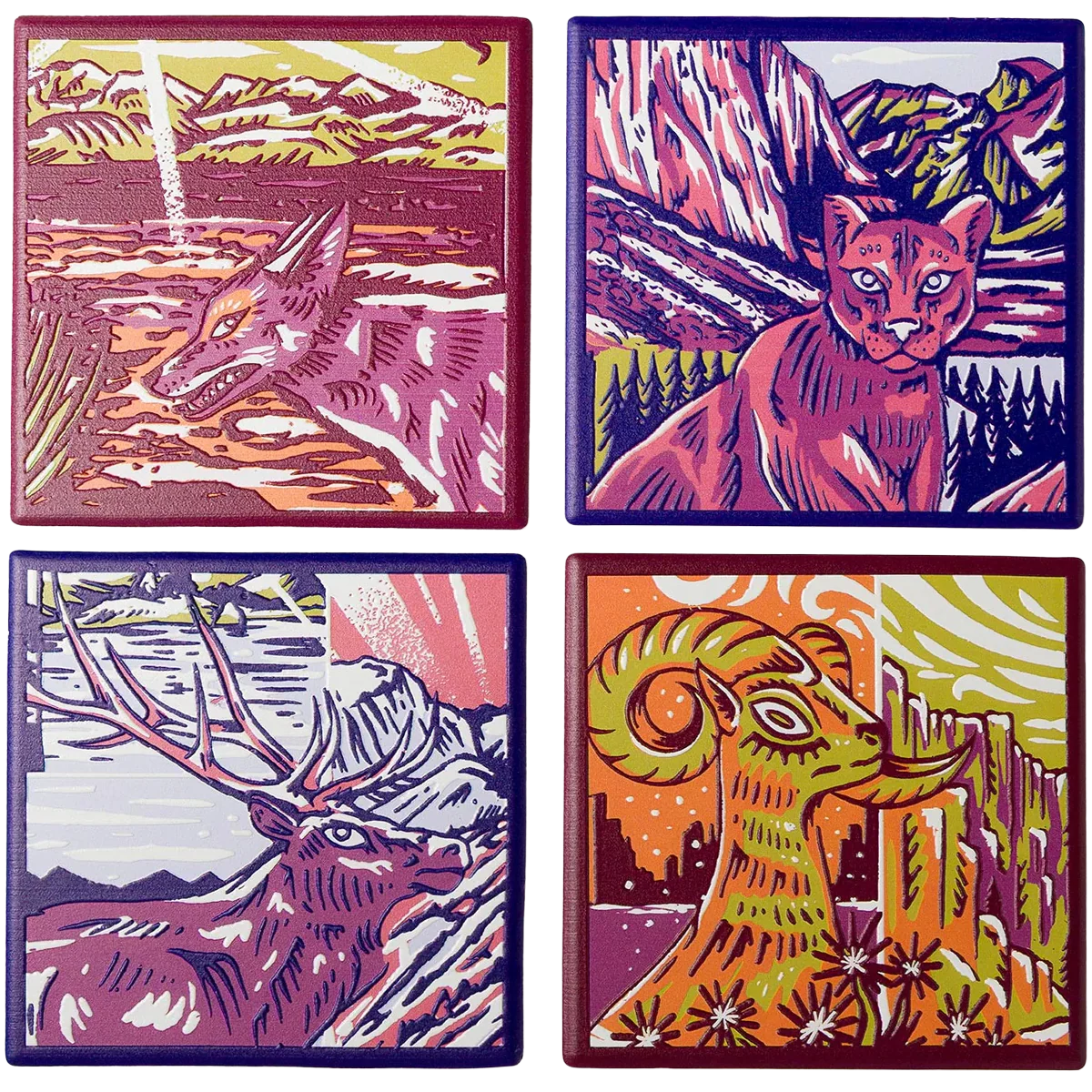 National Park Naturalist Coaster Set - Image 2
