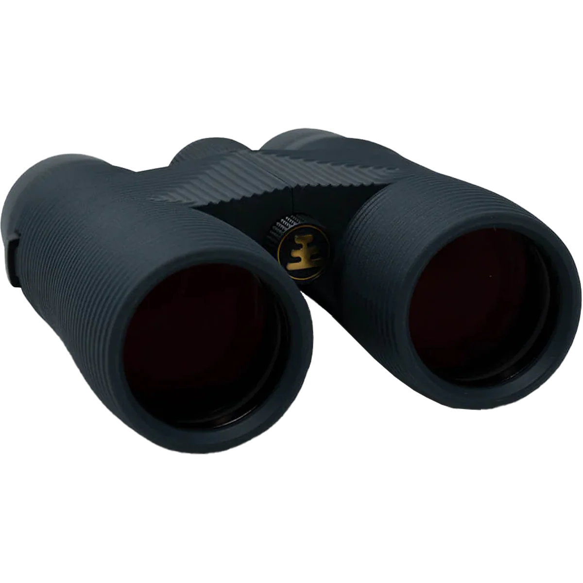 Pro Issue 10x42 Binoculars