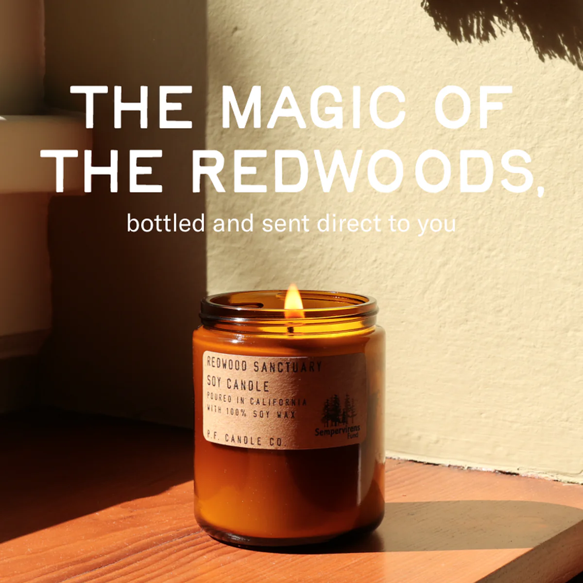 Redwood Sempervirens Fund 7.2oz - Image 3