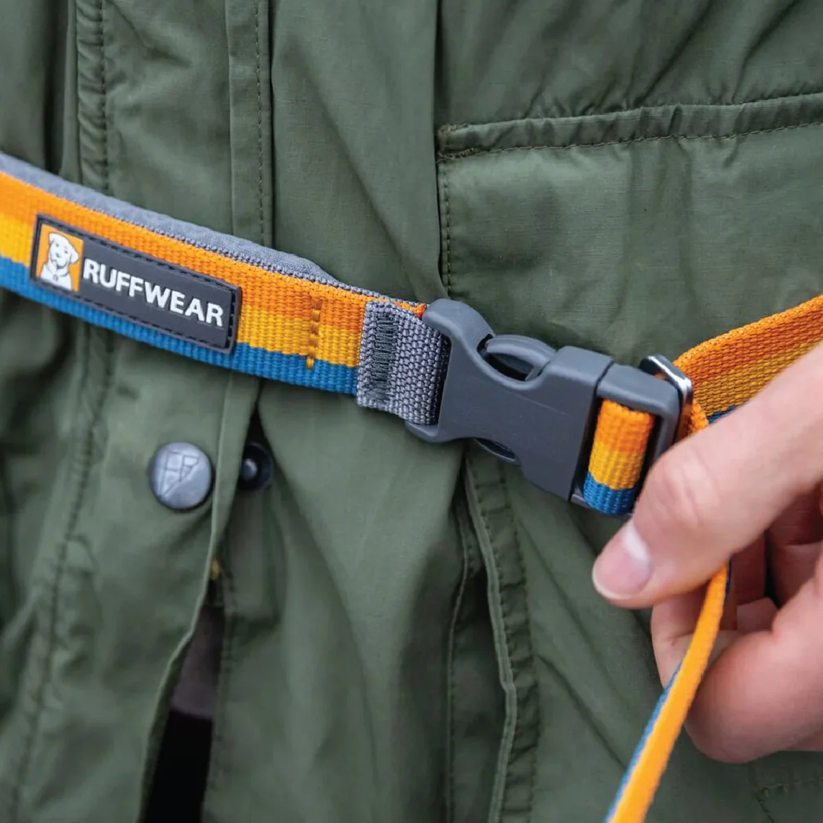 Roamer Bungee Leash - Image 6