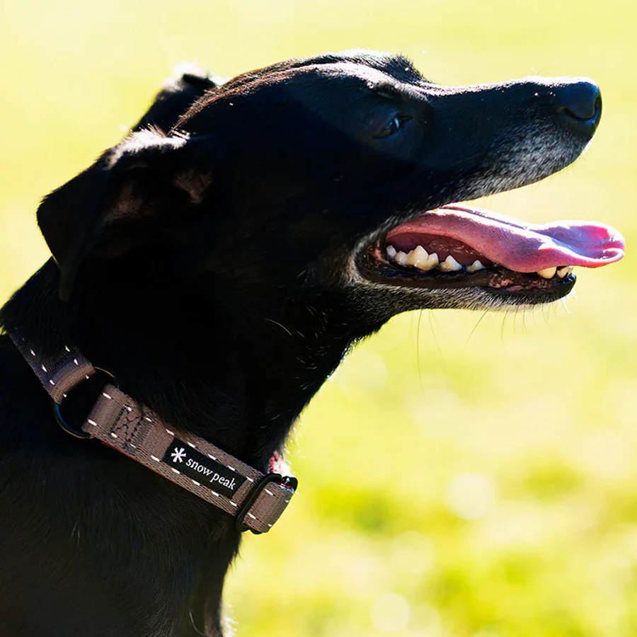 SP Slip Collar L Olive - Image 3
