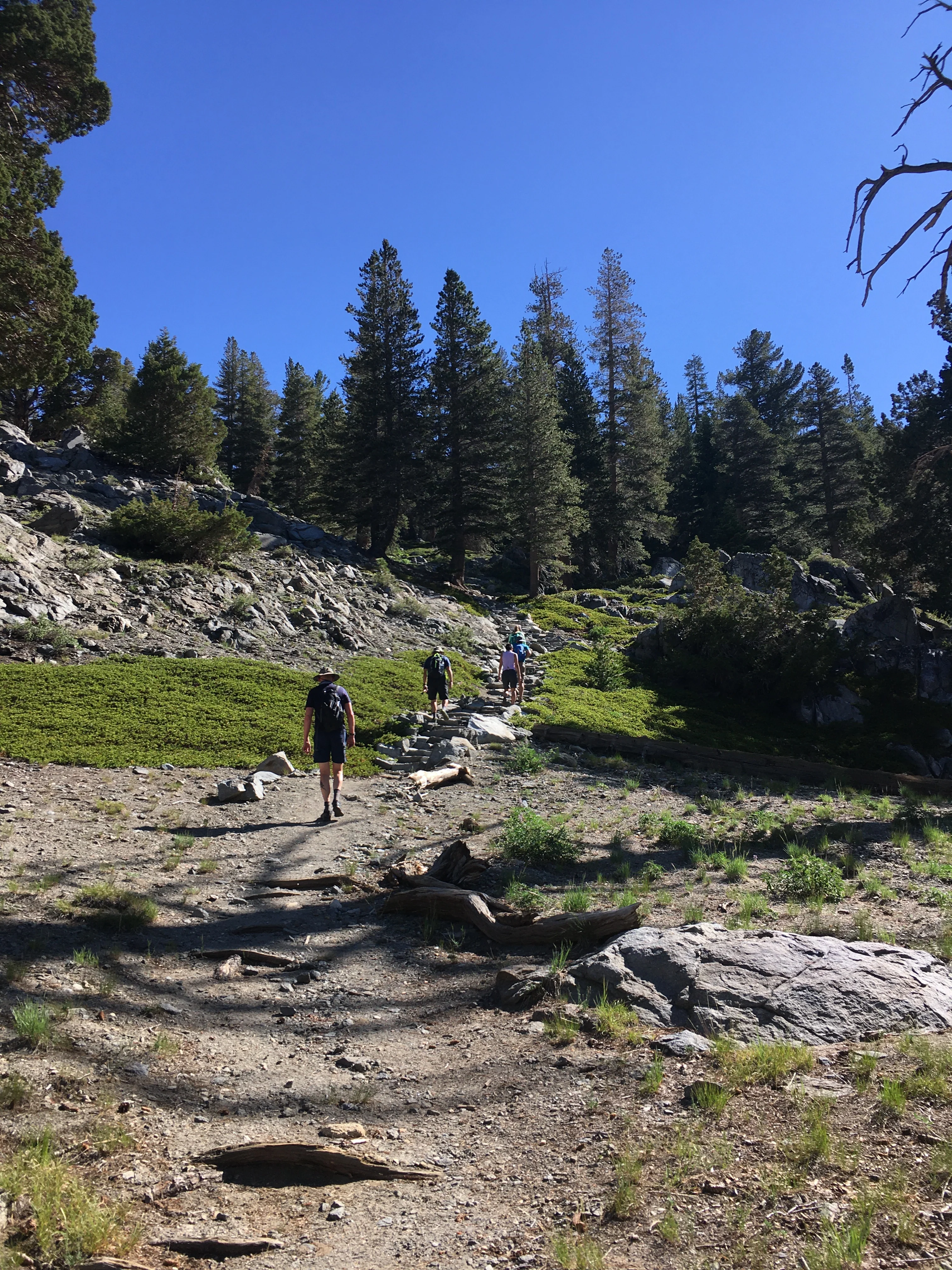 Backpacking Yosemite: Ten Lakes - Image 21