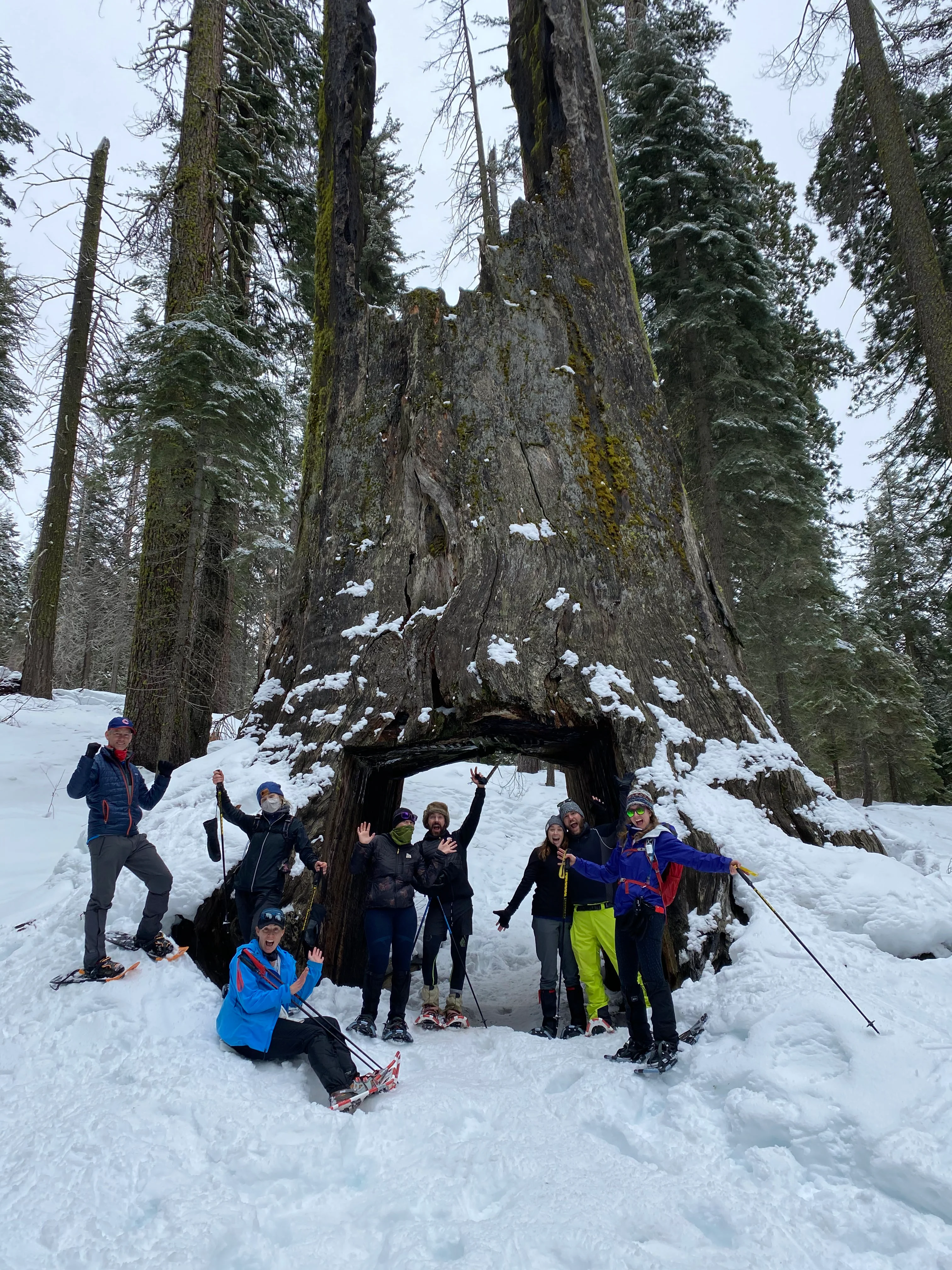Snowshoeing Yosemite: Tuolumne Grove/Gin Flat Weekend - Image 11