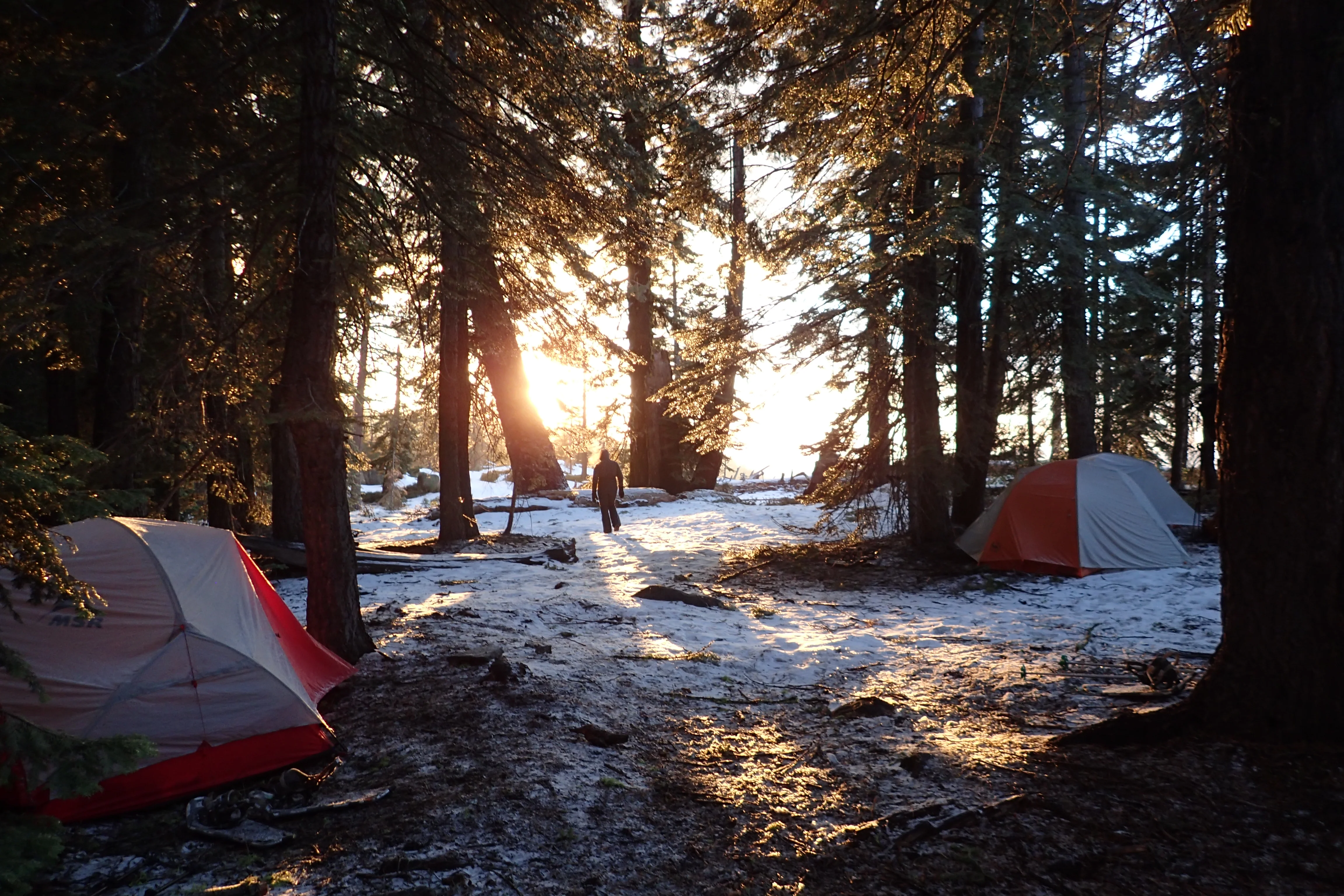 Snowshoeing Yosemite: Tuolumne Grove/Gin Flat Weekend - Image 12