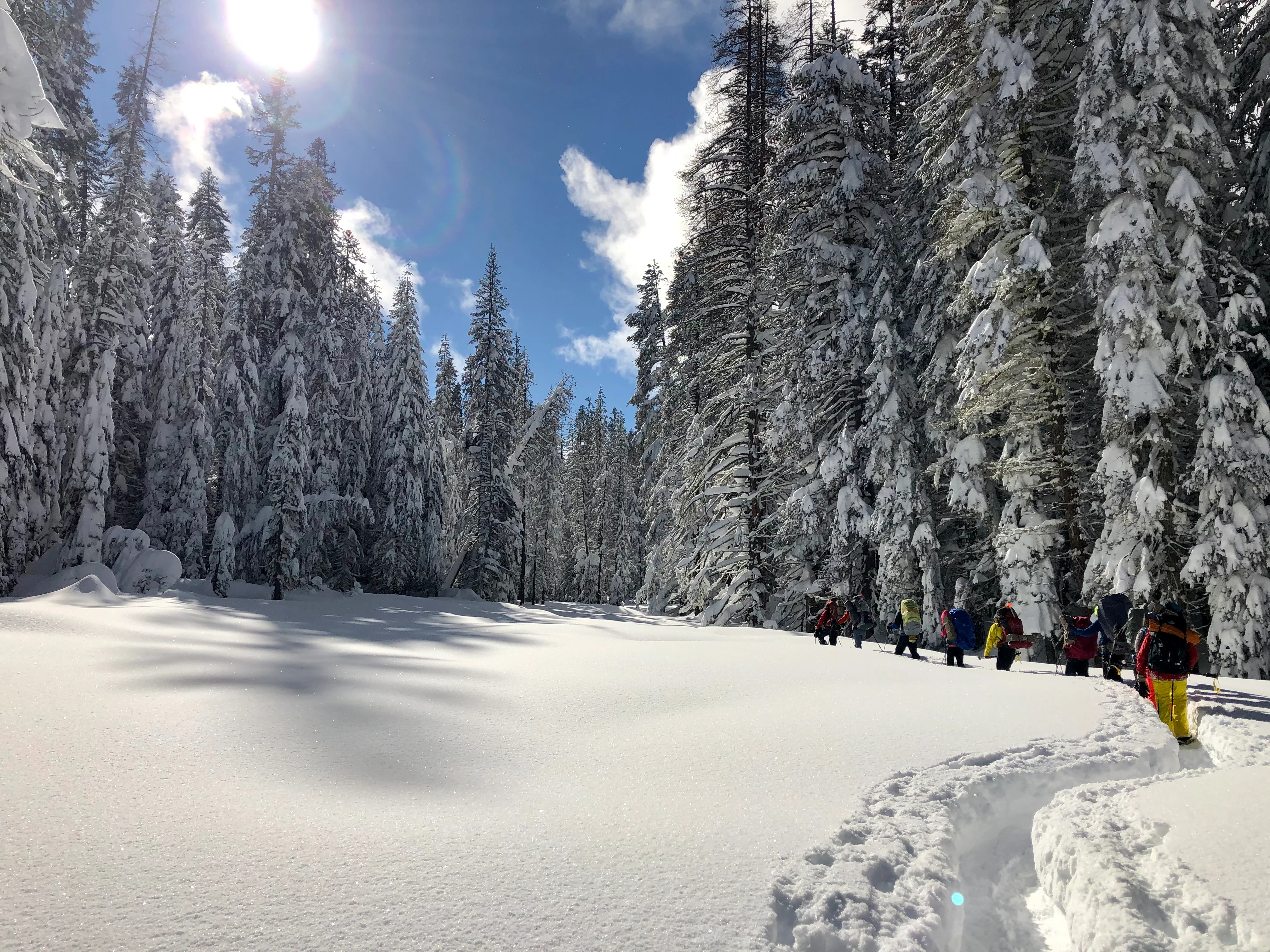 Snowshoeing Yosemite: Tuolumne Grove/Gin Flat Weekend - Image 14