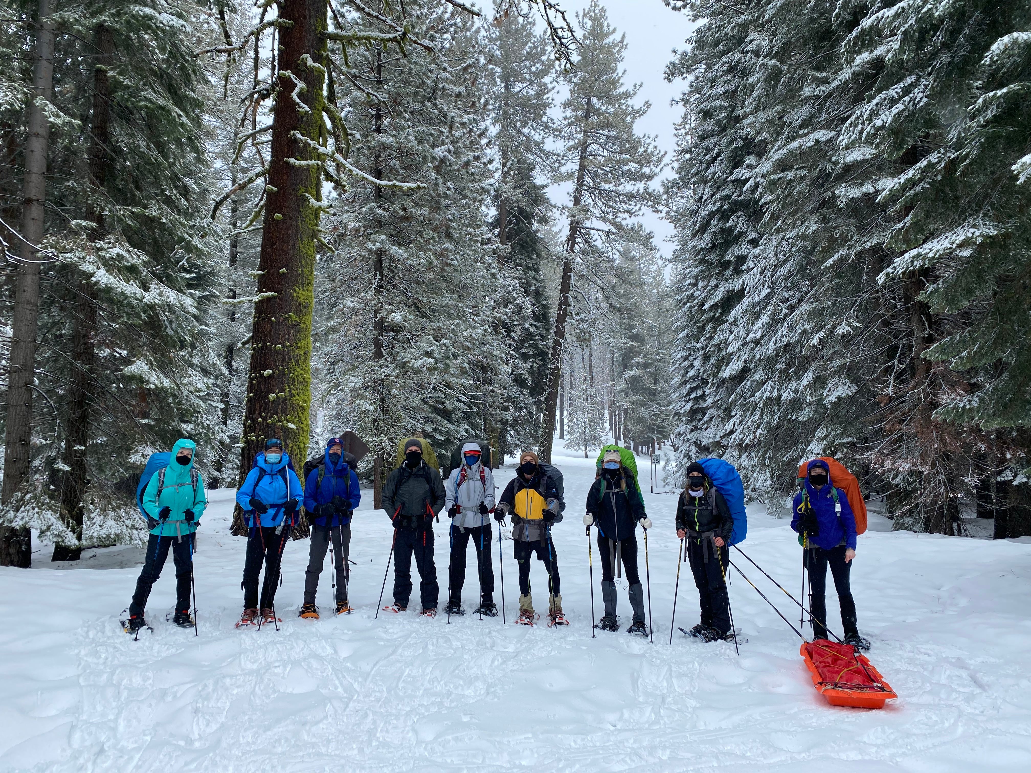 Snowshoeing Yosemite: Tuolumne Grove/Gin Flat Weekend - Image 19