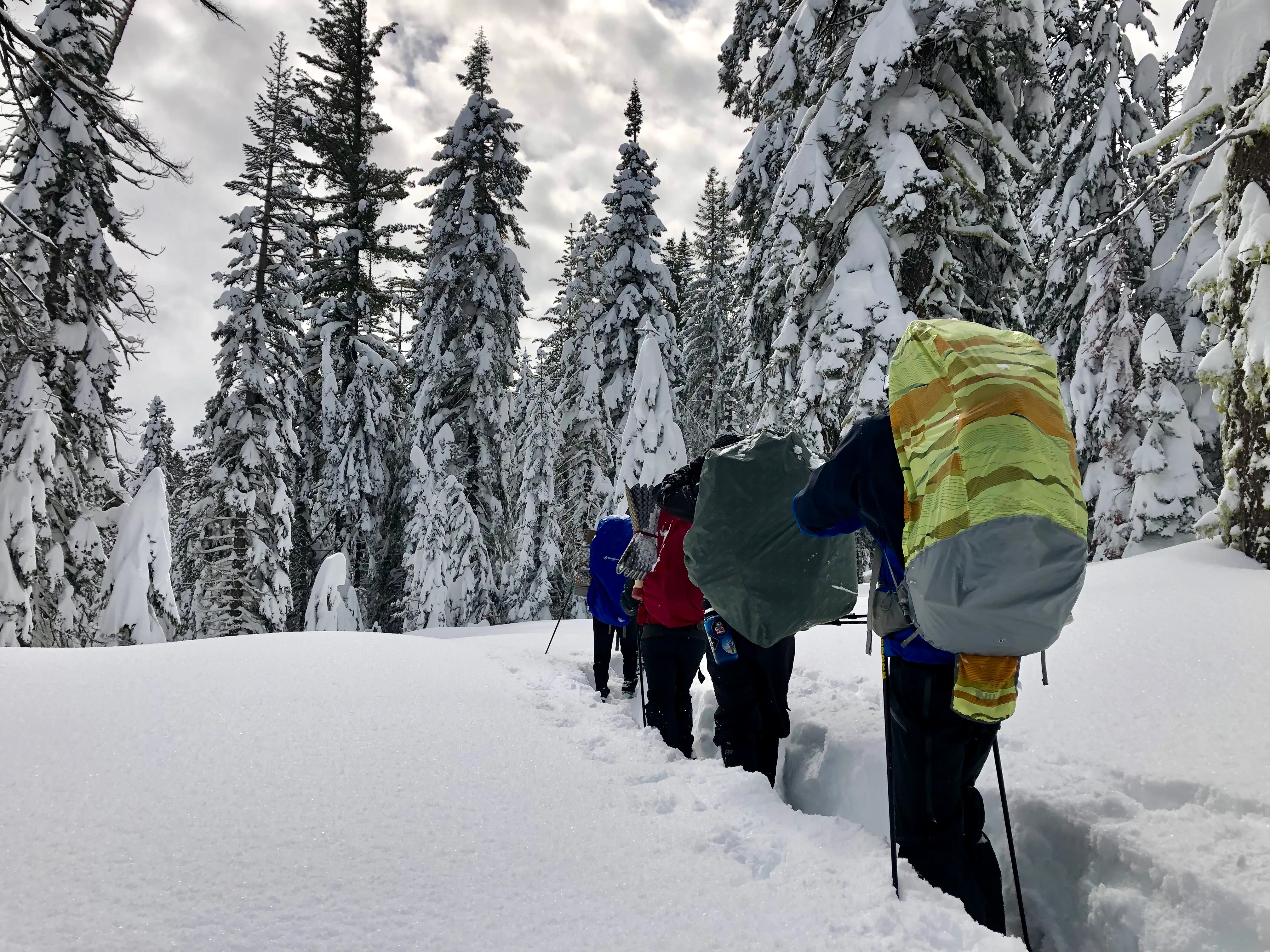 Snowshoeing Yosemite: Tuolumne Grove/Gin Flat Weekend - Image 3