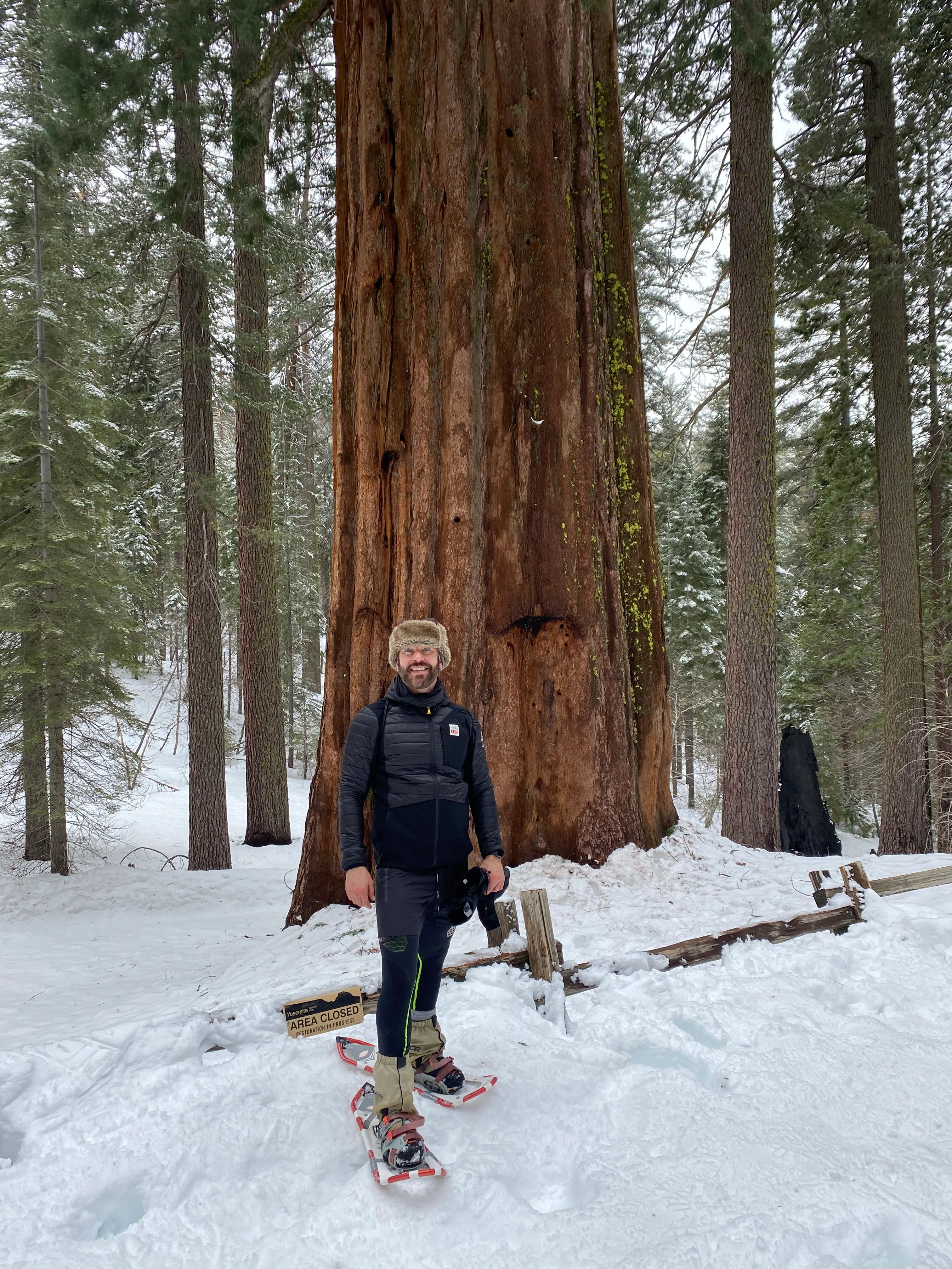 Snowshoeing Yosemite: Tuolumne Grove/Gin Flat Weekend - Image 30