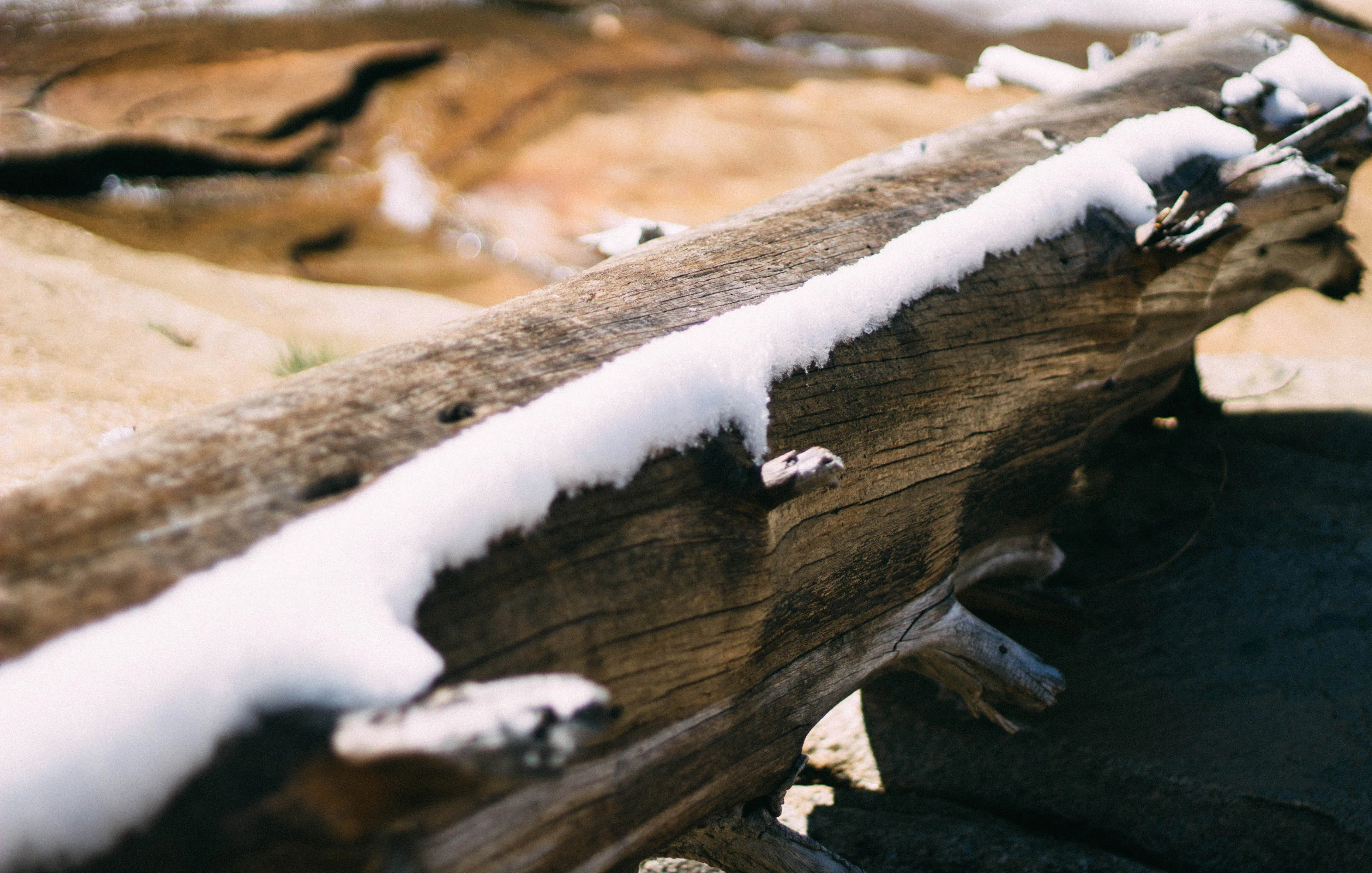Snowshoeing Yosemite: Tuolumne Grove/Gin Flat Weekend - Image 31