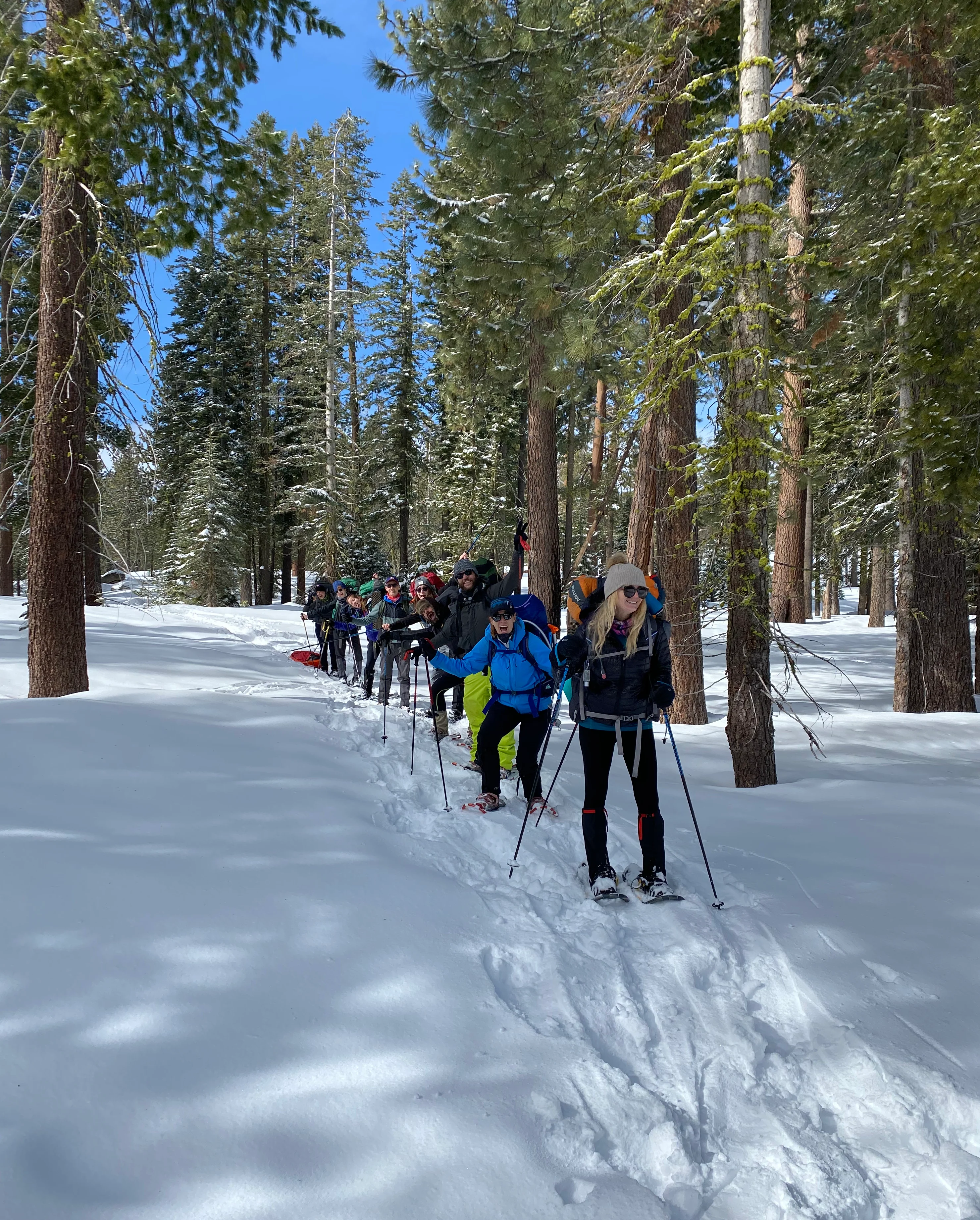 Snowshoeing Yosemite: Tuolumne Grove/Gin Flat Weekend - Image 40