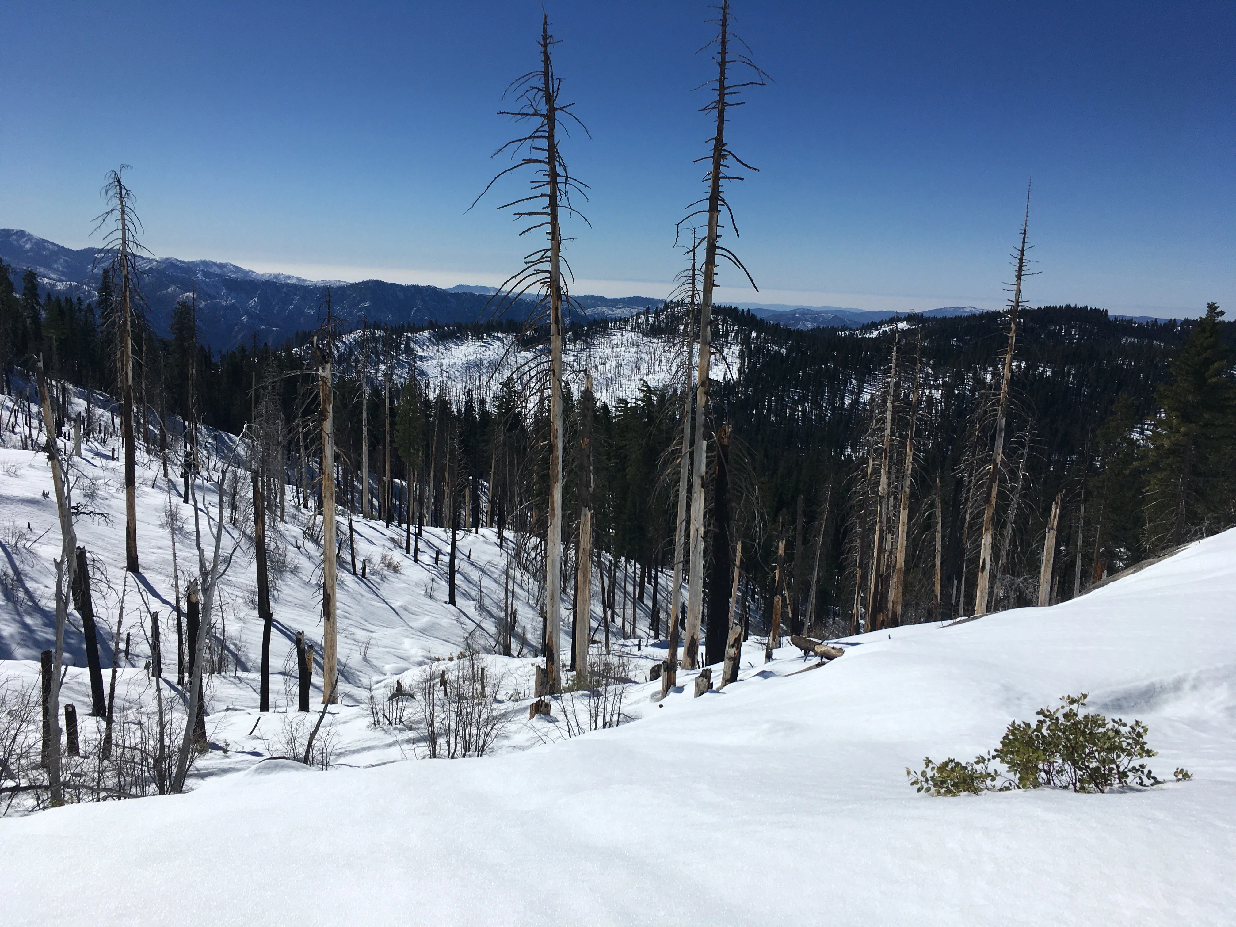 Snowshoeing Yosemite: Tuolumne Grove/Gin Flat Weekend - Image 41