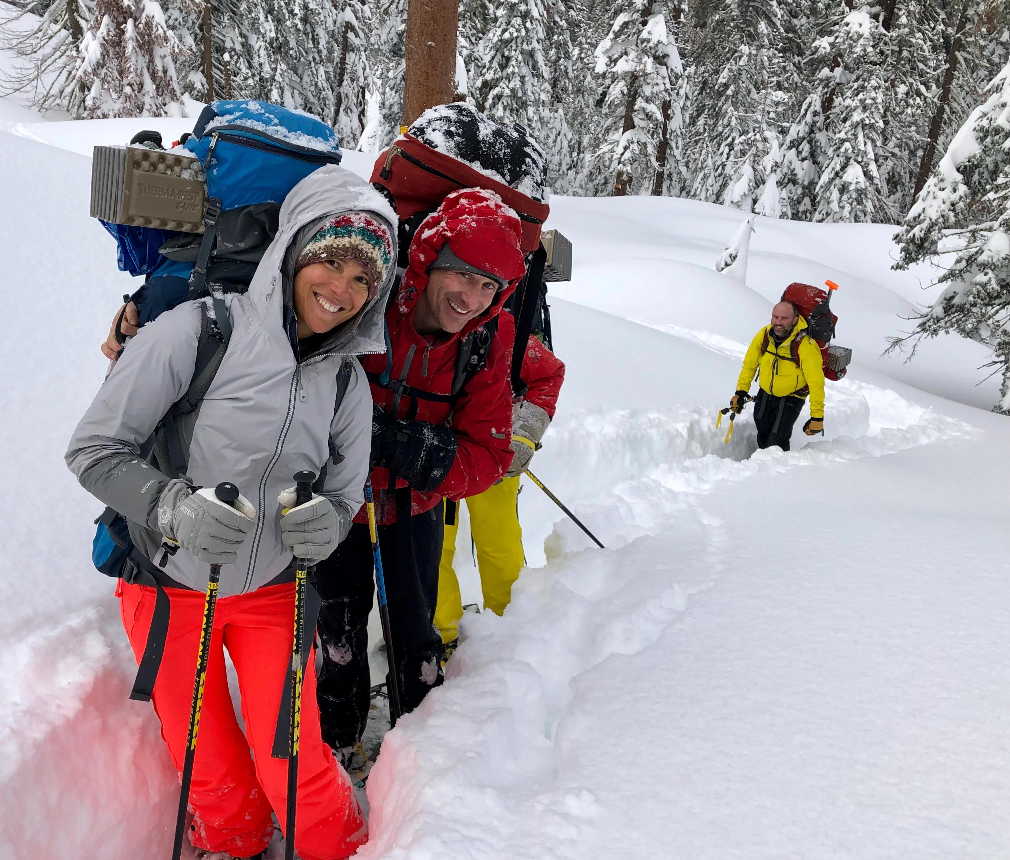 Snowshoeing Yosemite: Tuolumne Grove/Gin Flat Weekend - Image 6