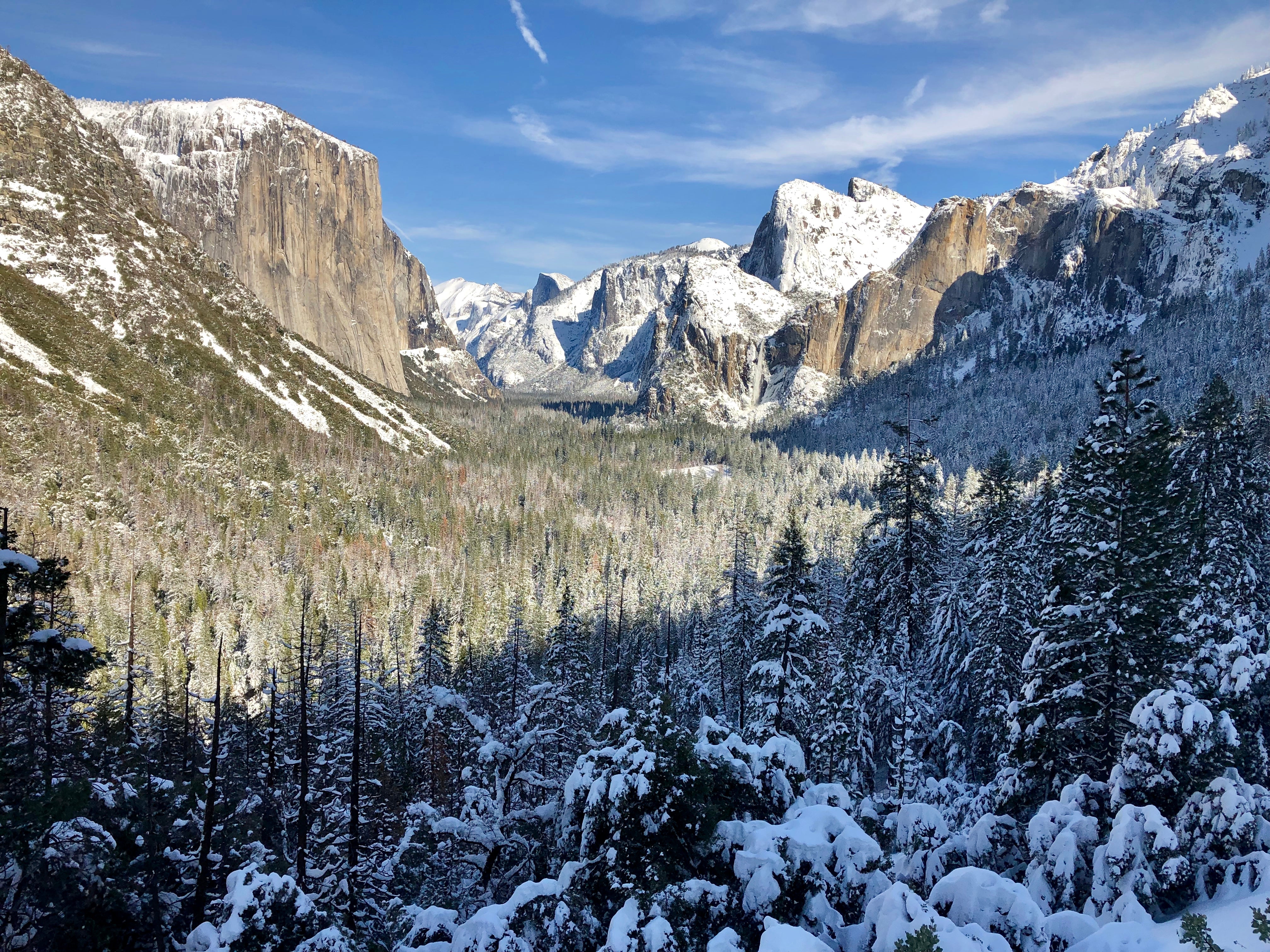 Snowshoeing Yosemite: Tuolumne Grove/Gin Flat Weekend - Image 7