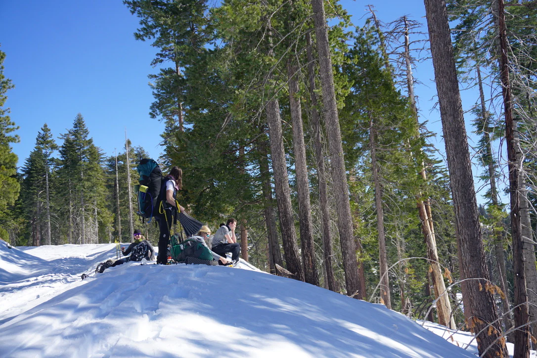 Snowshoeing Yosemite: Tuolumne Grove/Gin Flat Weekend - Image 8