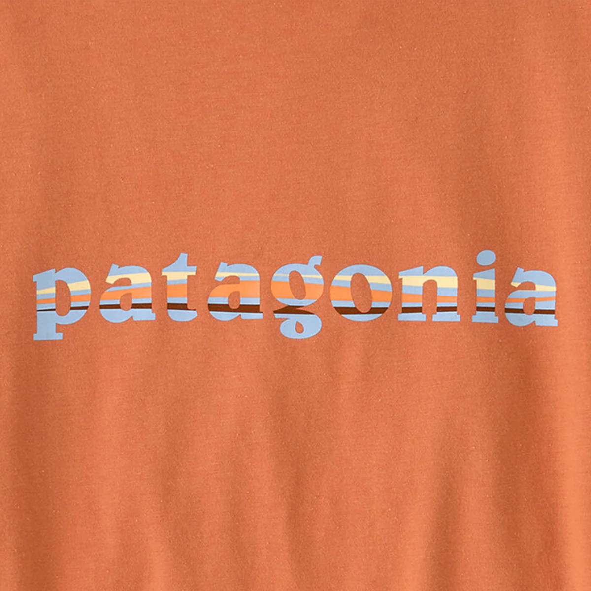 Women's '73 Text Logo Org Ringer Tee - Image 2