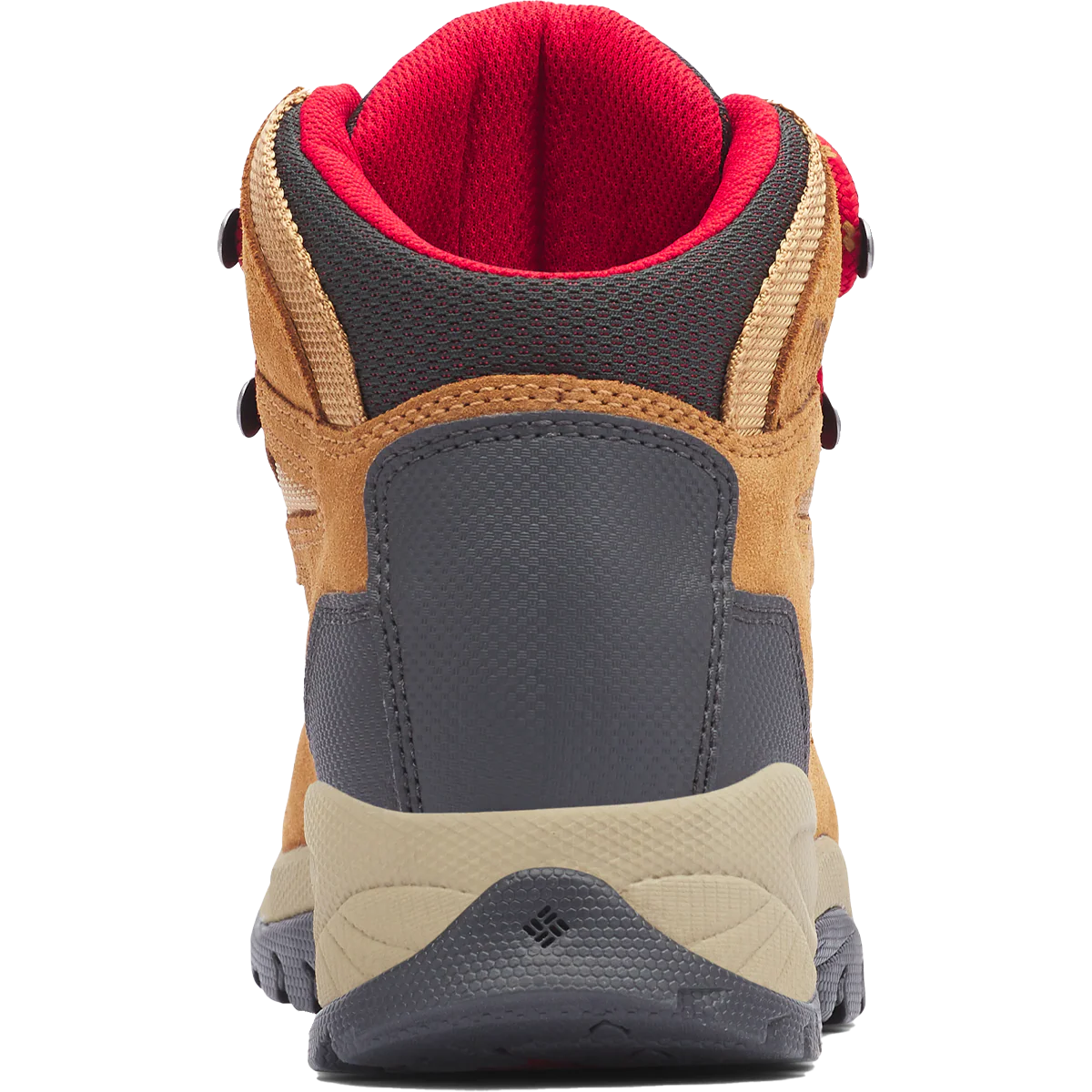 Women's Newton Ridge Plus Waterproof Amped - Image 10