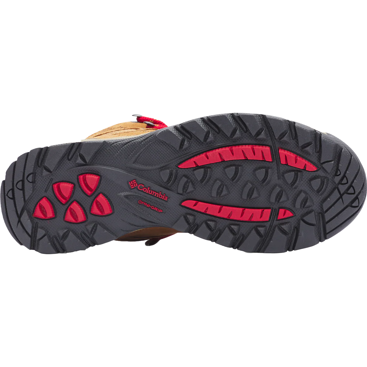 Women's Newton Ridge Plus Waterproof Amped - Wide - Image 8