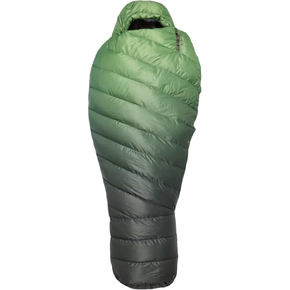 Wraptor 30 Down Regular