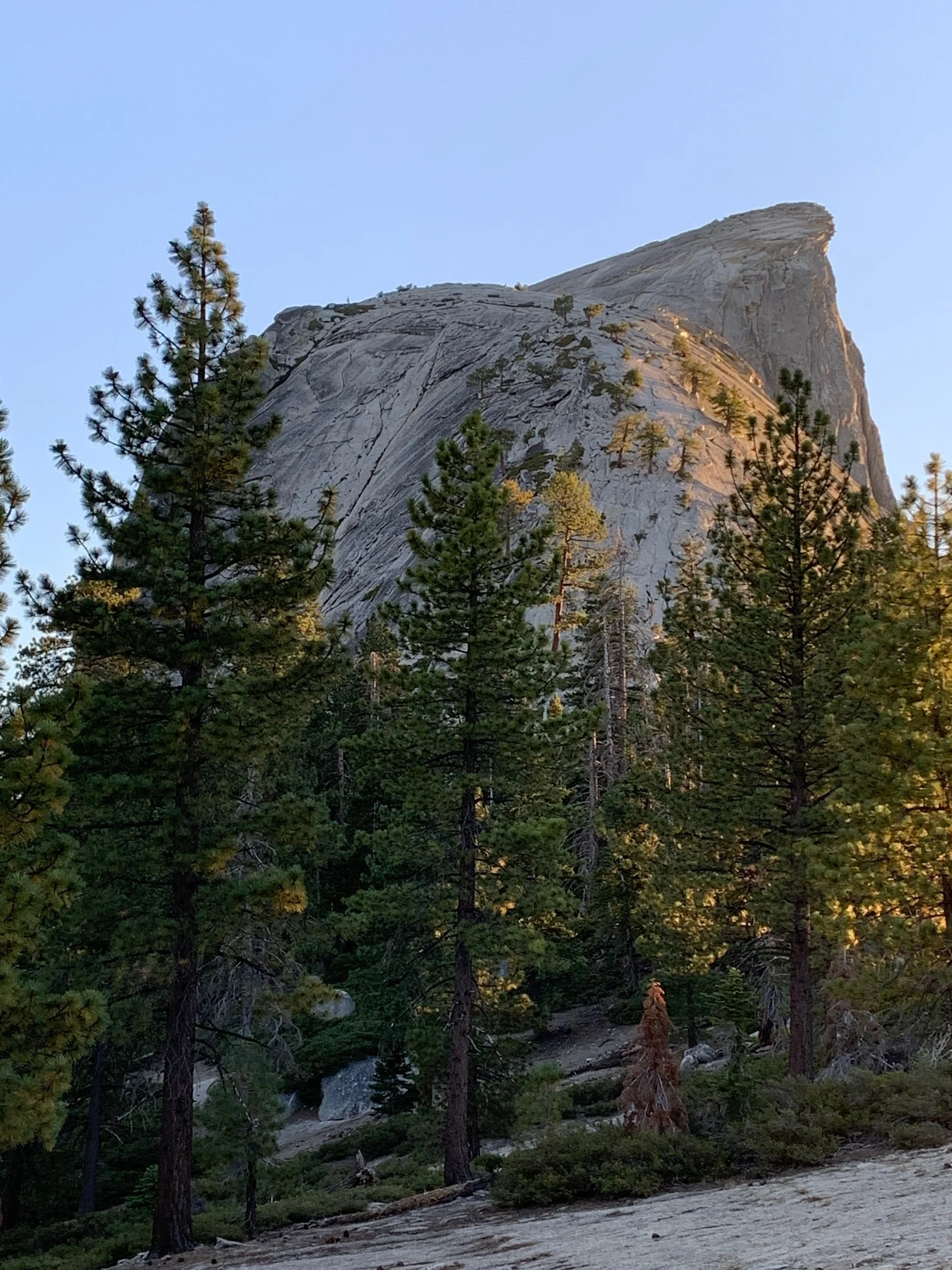 Backpacking Yosemite: Half Dome (3 Day) - Image 28